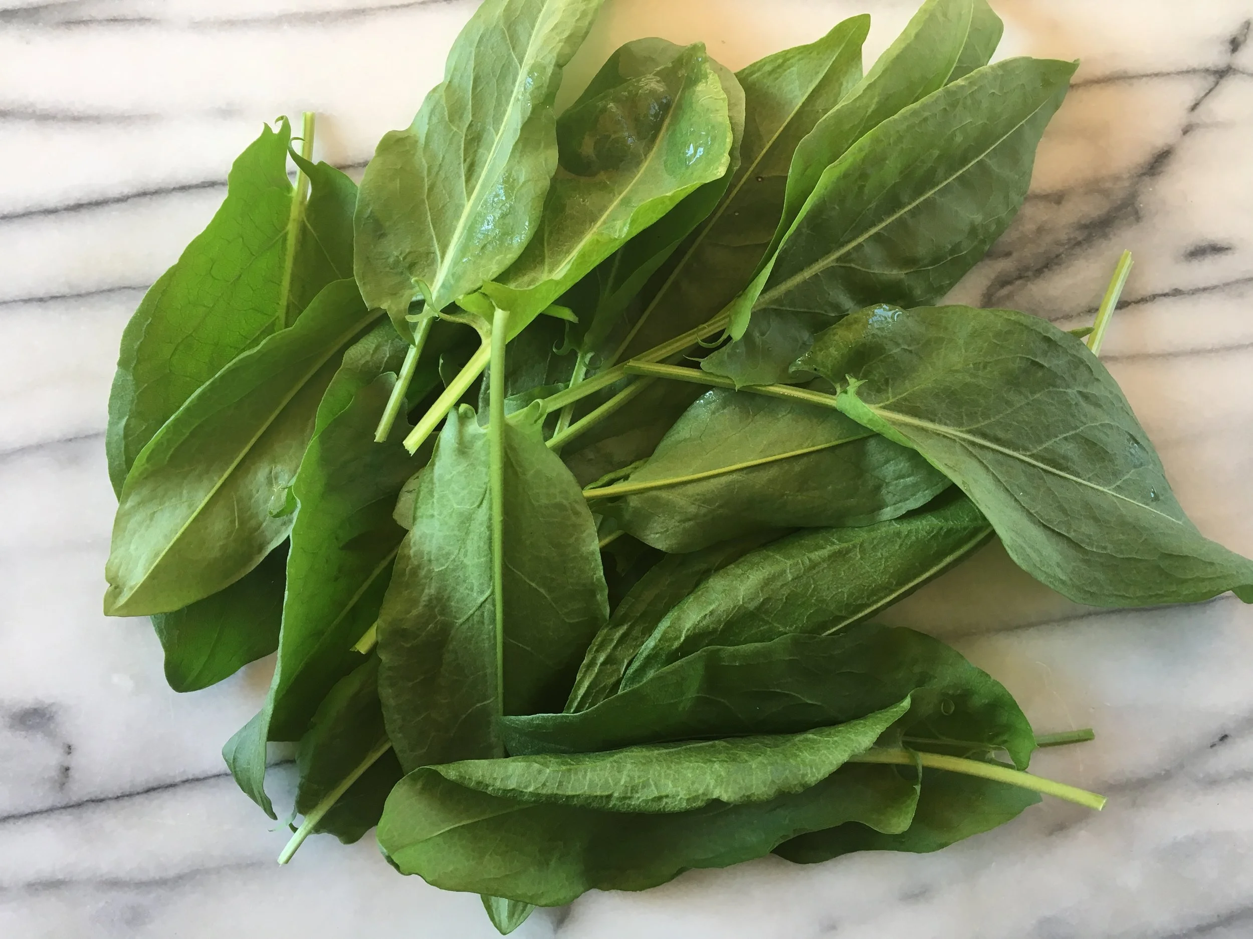 French sorrel to add a lemony tang to salads.