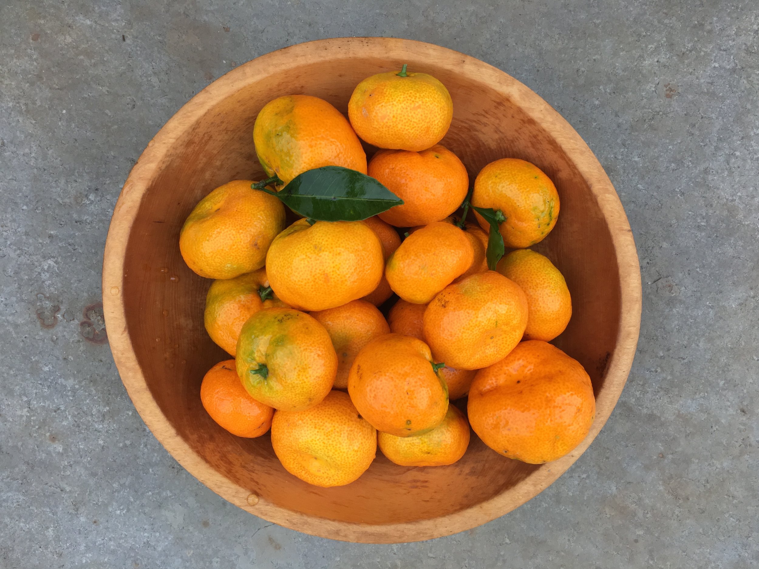 ‘Satsuma’ tangerines