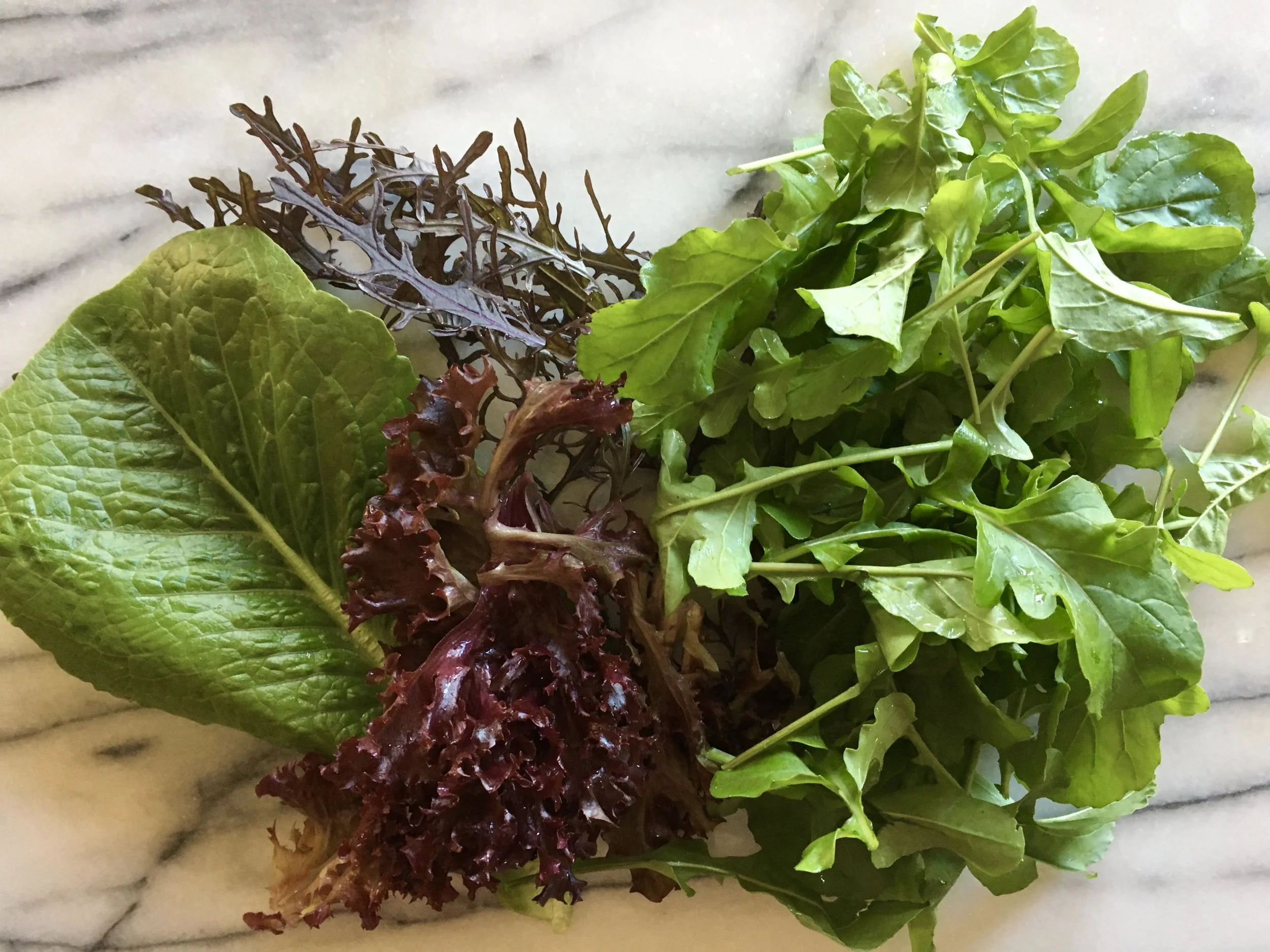 Romaine, Lolla Rossa lettuce, mustard and arugula