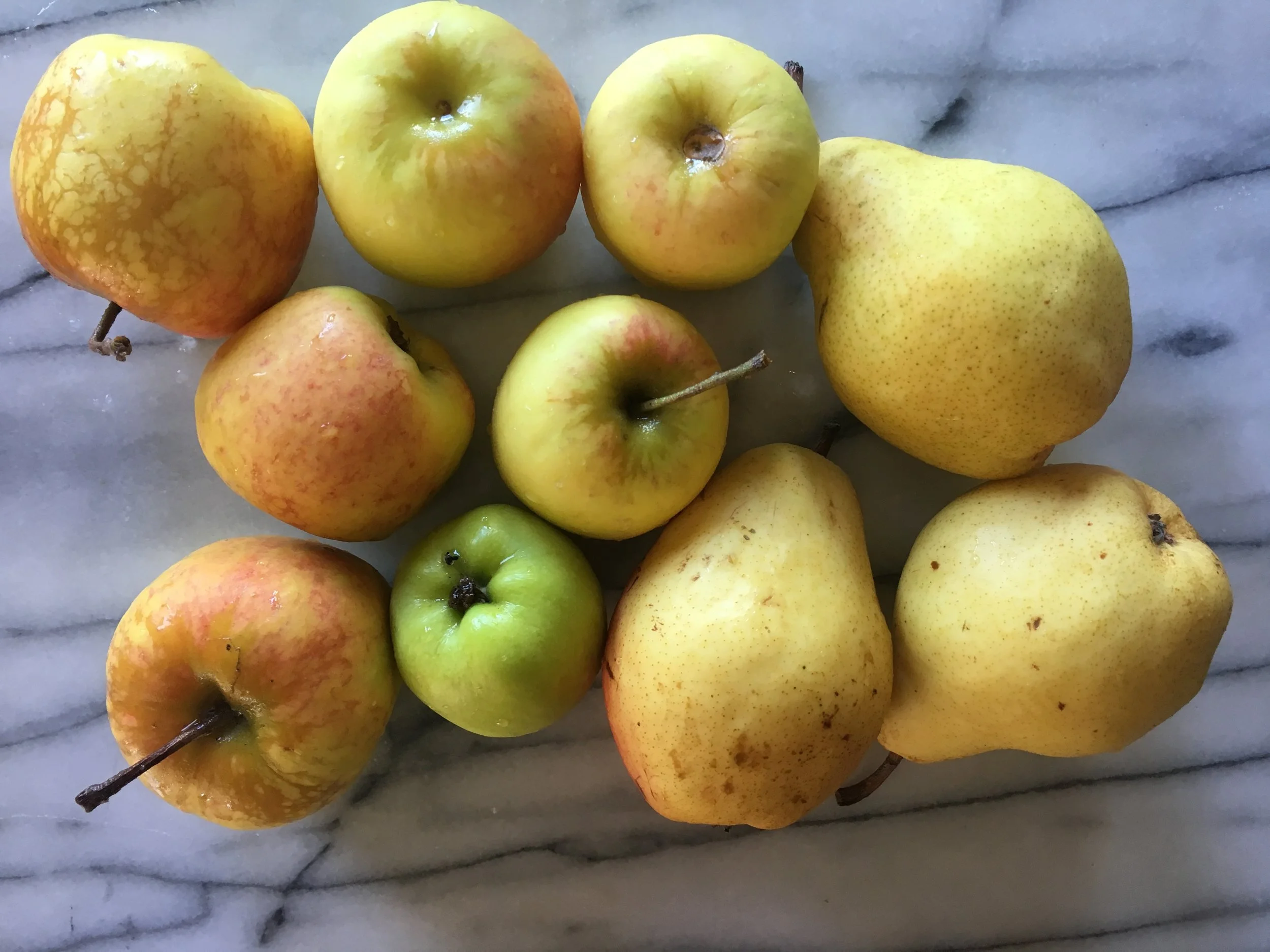 ‘Dorsett Golden’ apples from my tree and Bartlett pears