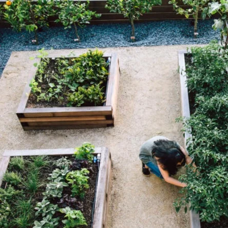 10 New Year's Resolutions for the Gardener