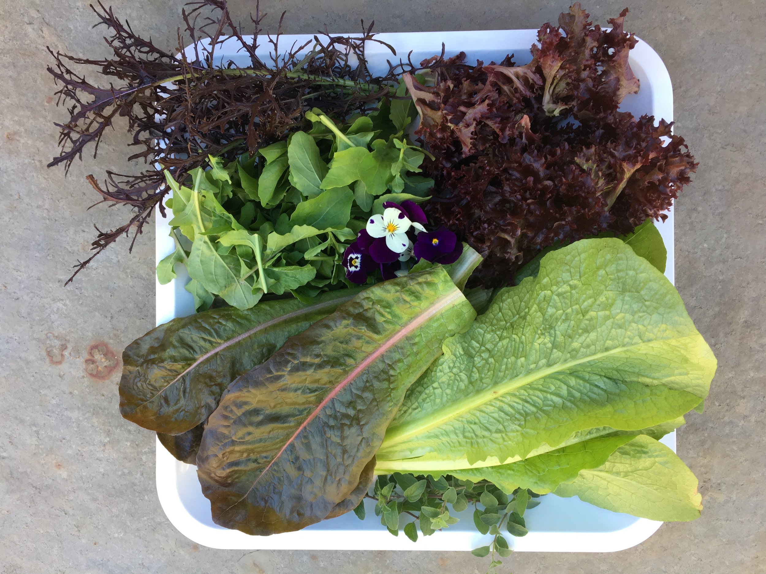 Gifts of greens
