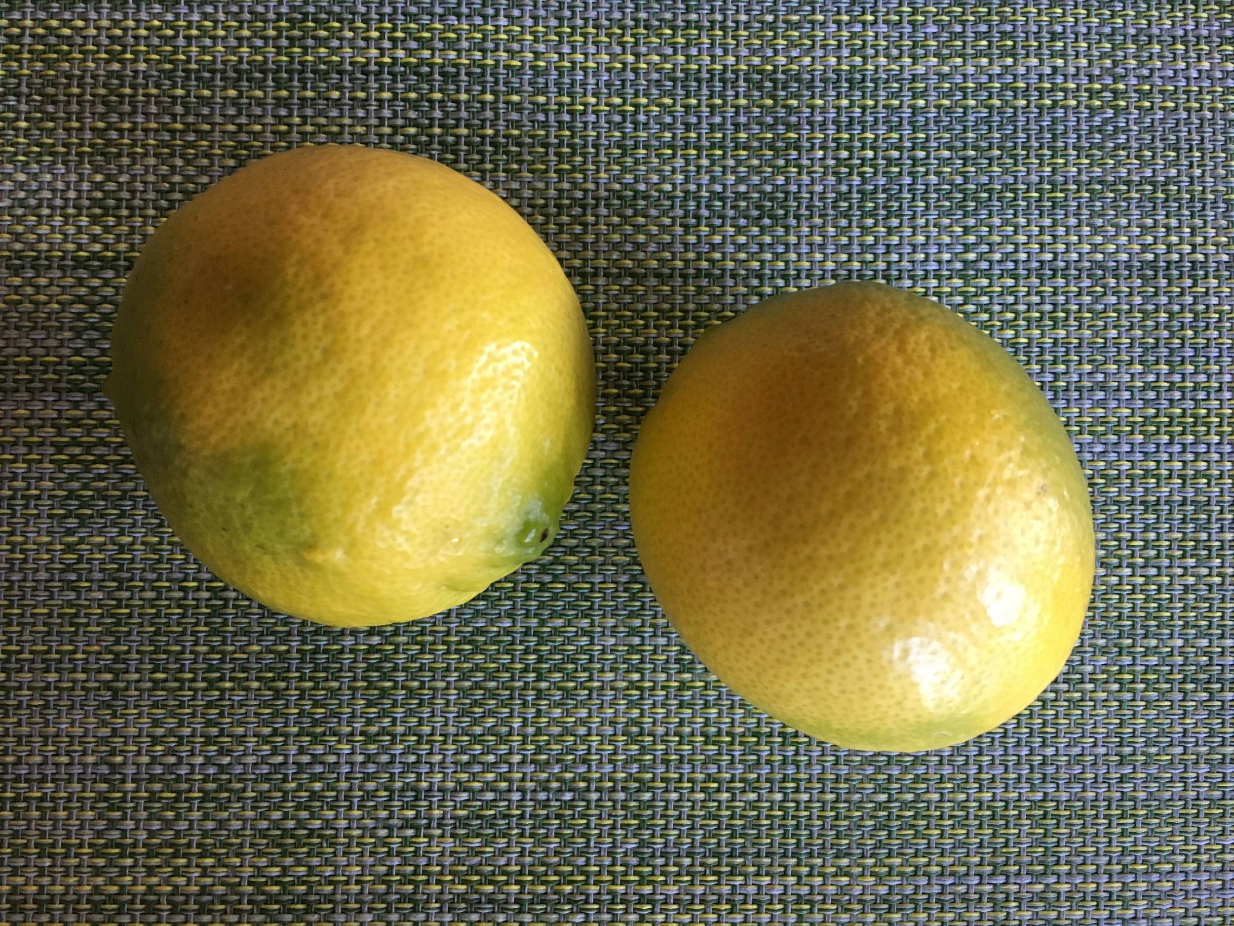 The lime tree produces about three or four limes each week at this time of year. Just about right for squeezing over an entree, soup or salad.