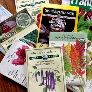 Seed Season--Part 3