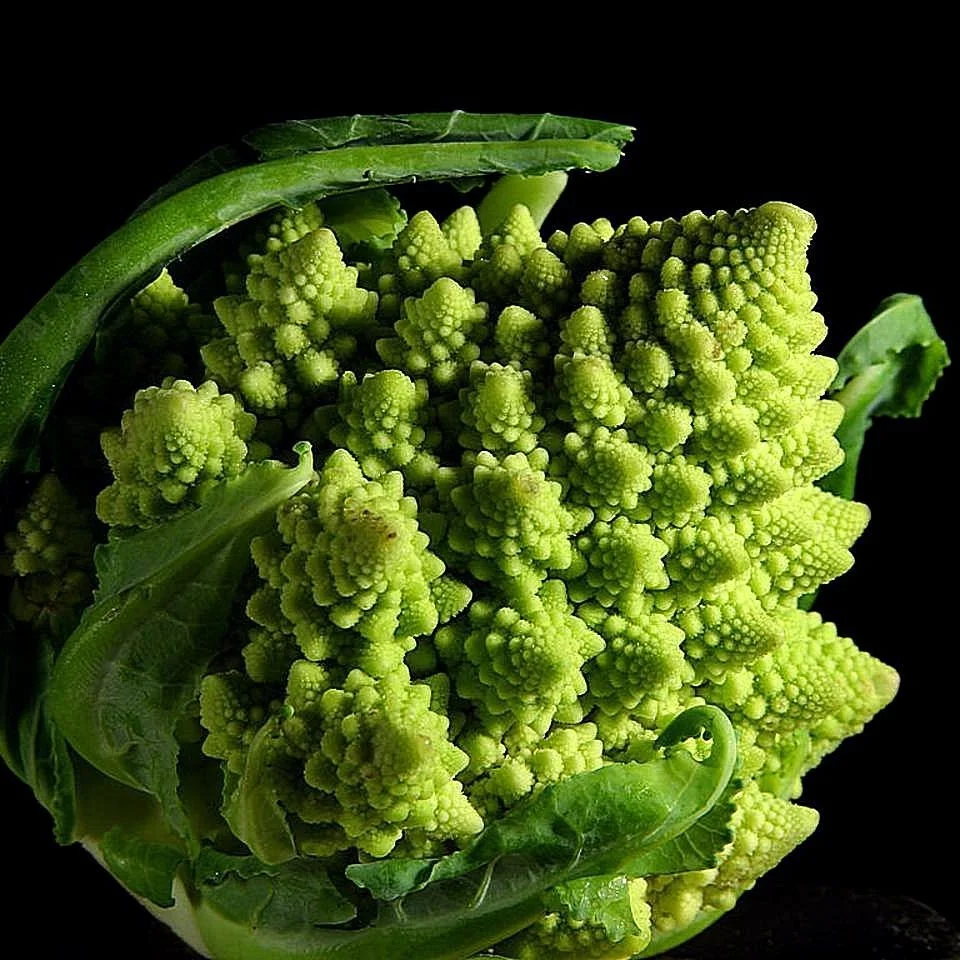 Romanesco