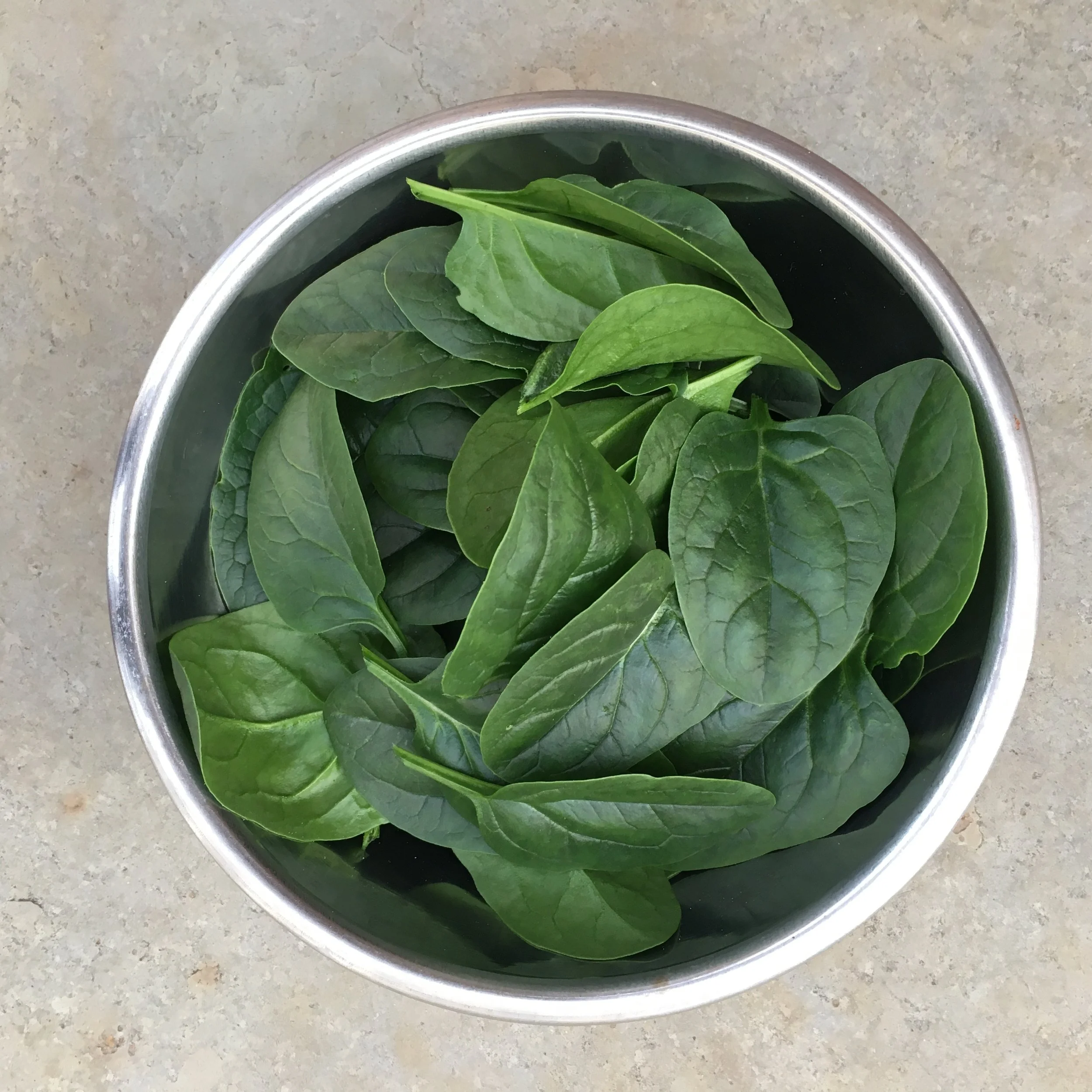 In My San Diego Garden and Kitchen