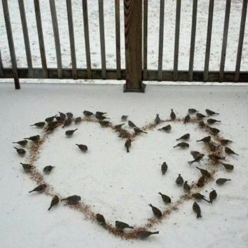 Found on andthenweallhadtea.blogspot.ca-001.jpg