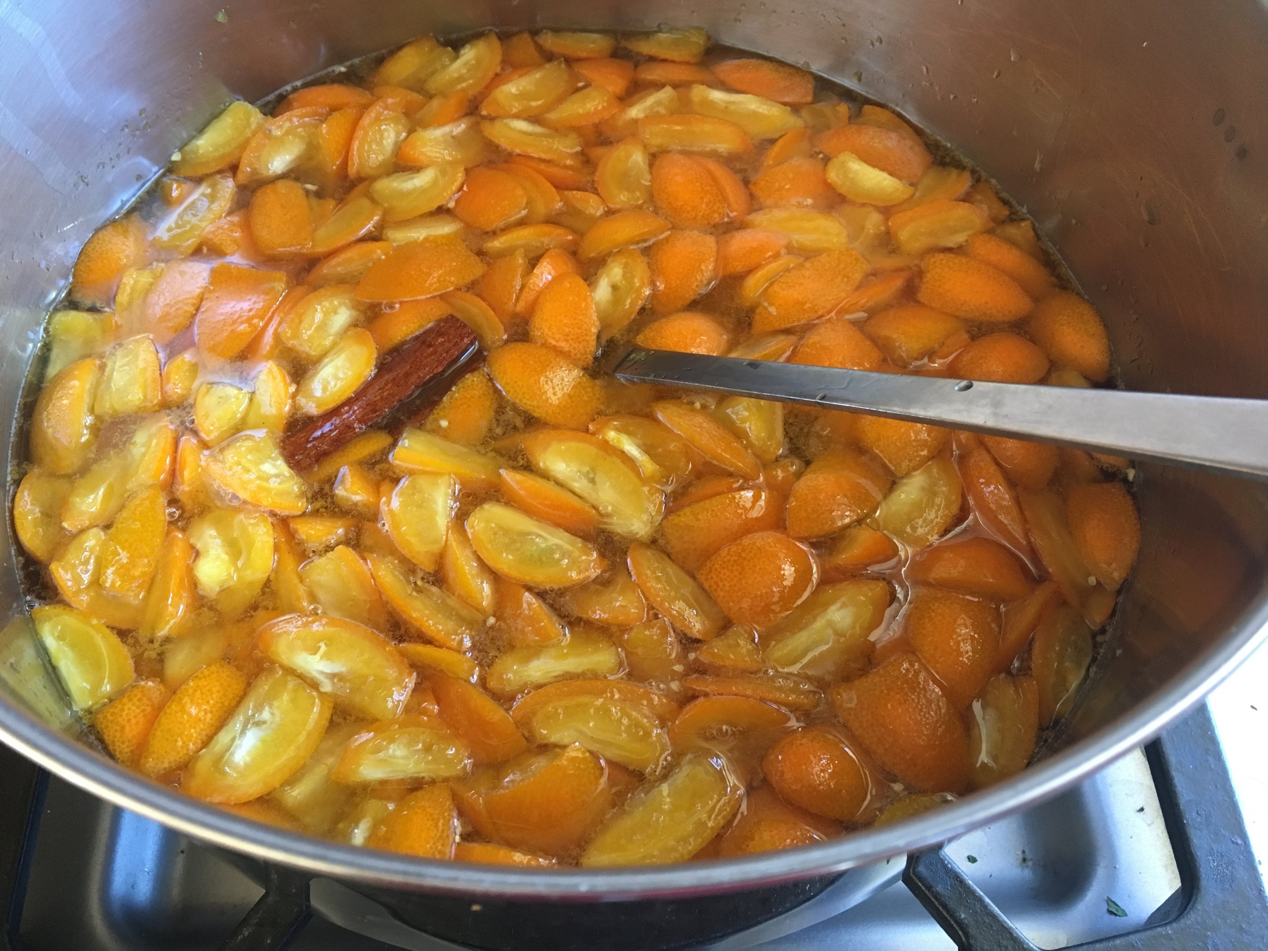 The recipe calls for kumquats, lemon zest and juice, star anise and a pinch of cayenne. I substituted half a cinnamon stick for the star anise.