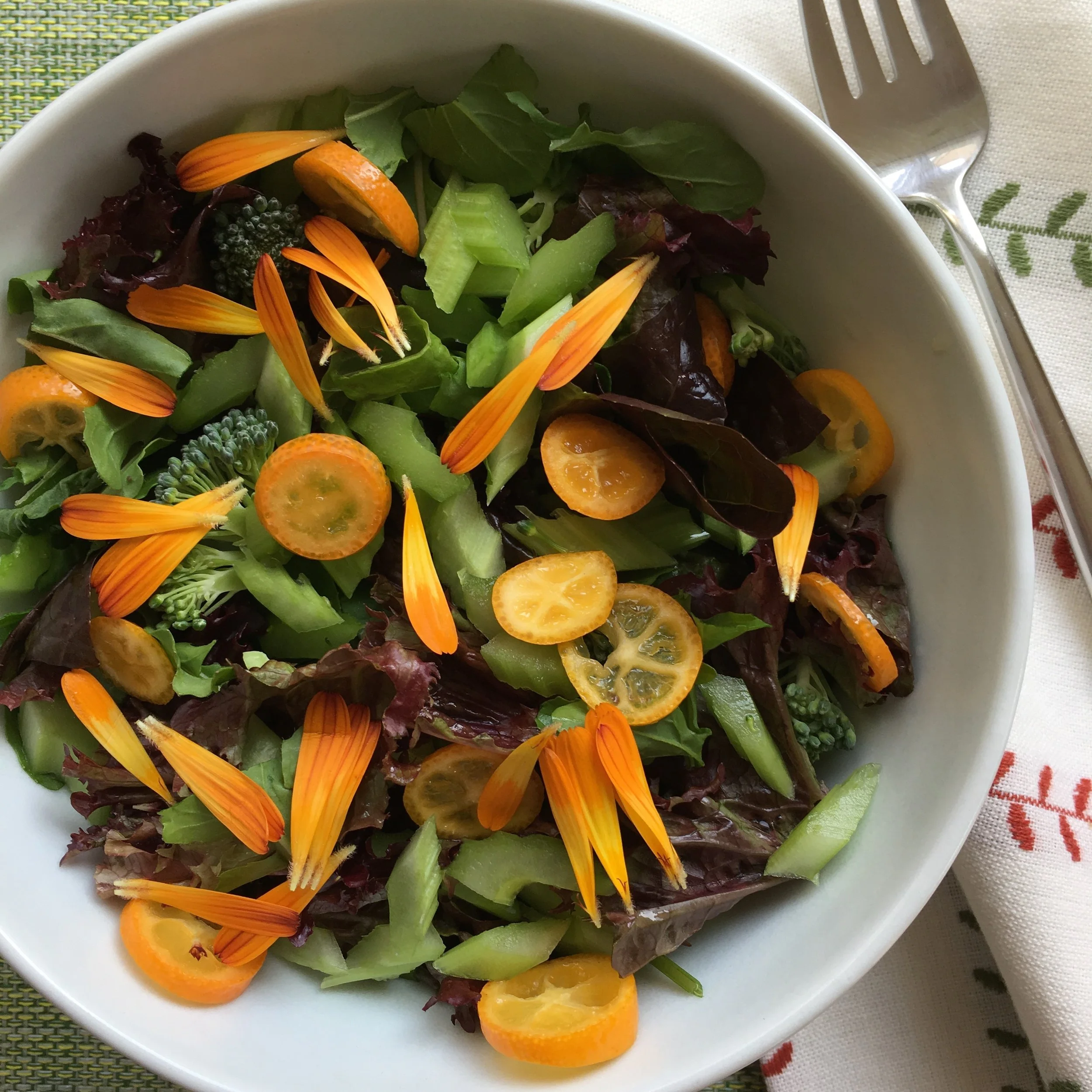 In My San Diego Garden and Kitchen