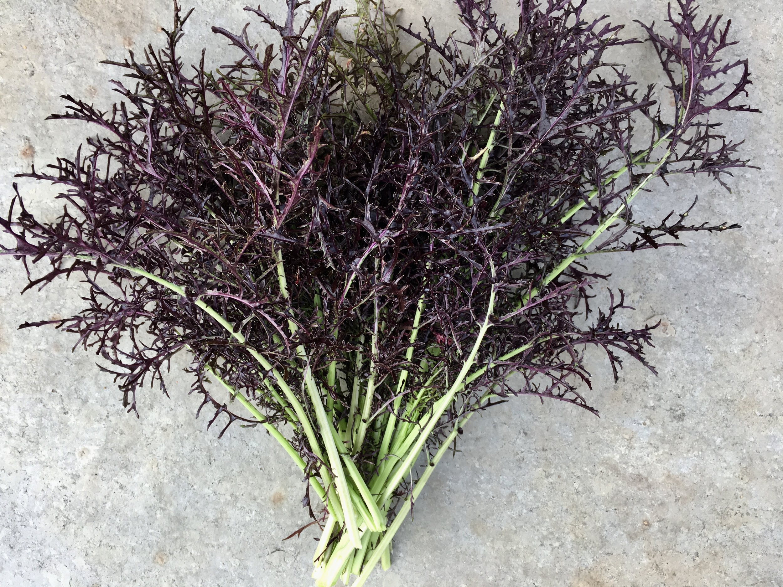 ‘Ruby Streaks’ mustard