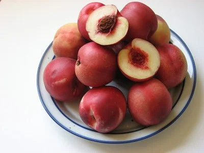 Spicy Zee NectaPlum