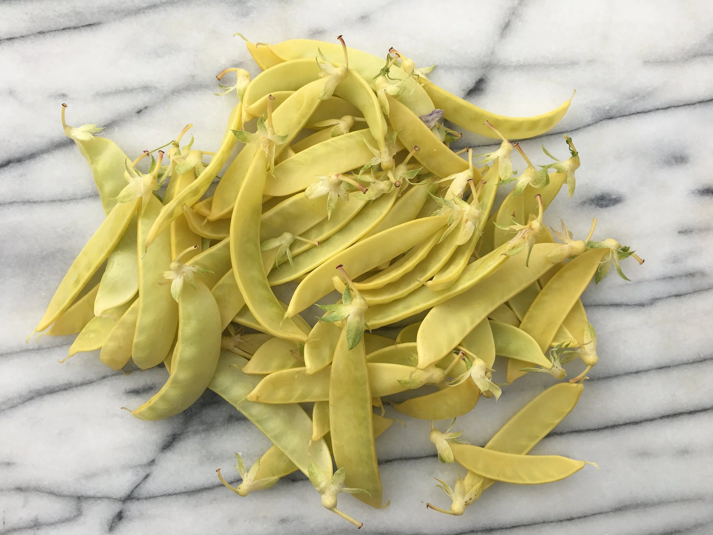 Golden sweet edible podded peas