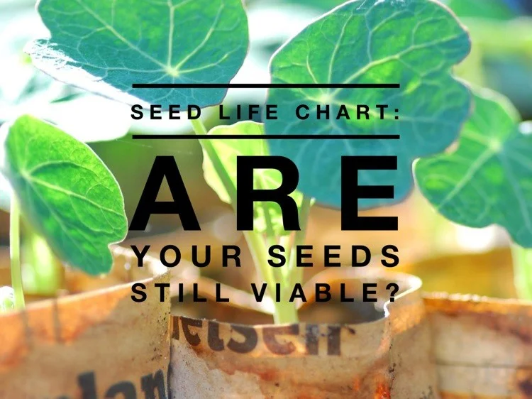 Photo Credit: The Gardening Channel
