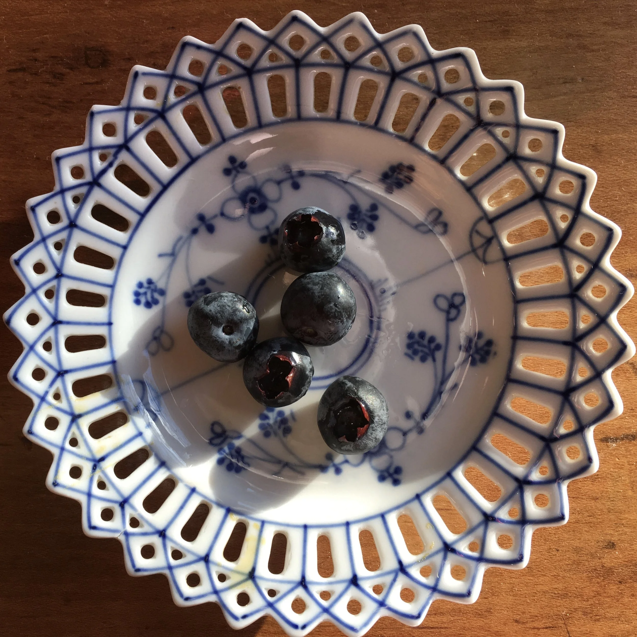 In My San Diego Garden and Kitchen