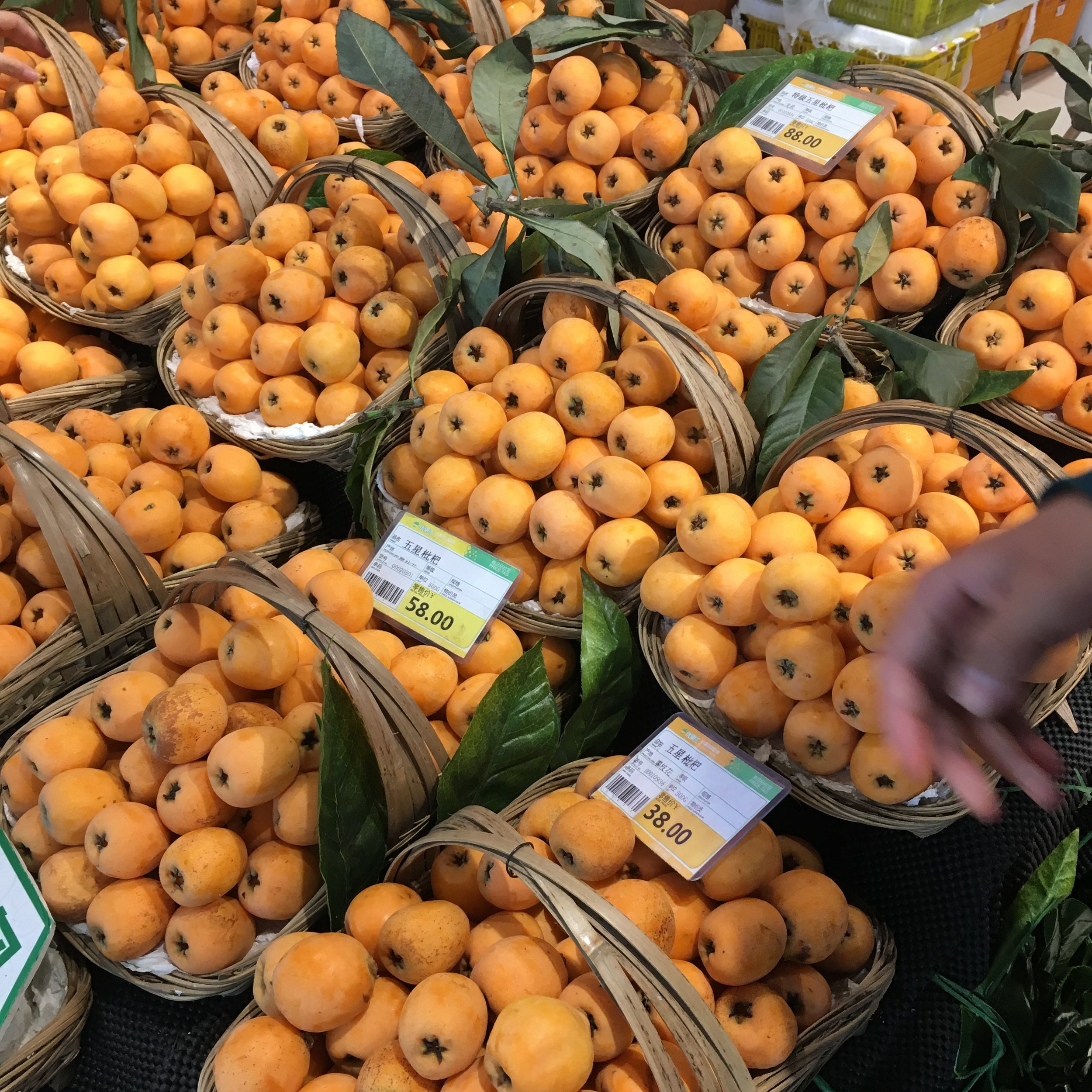 Loquats in China