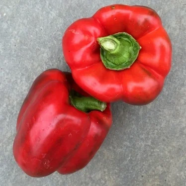 Tips for Growing Peppers