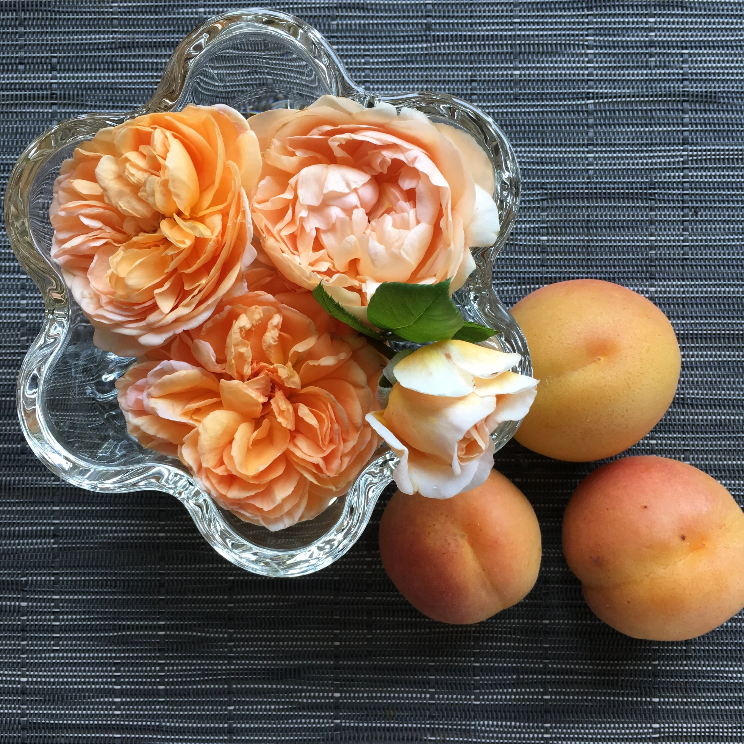 Apricots