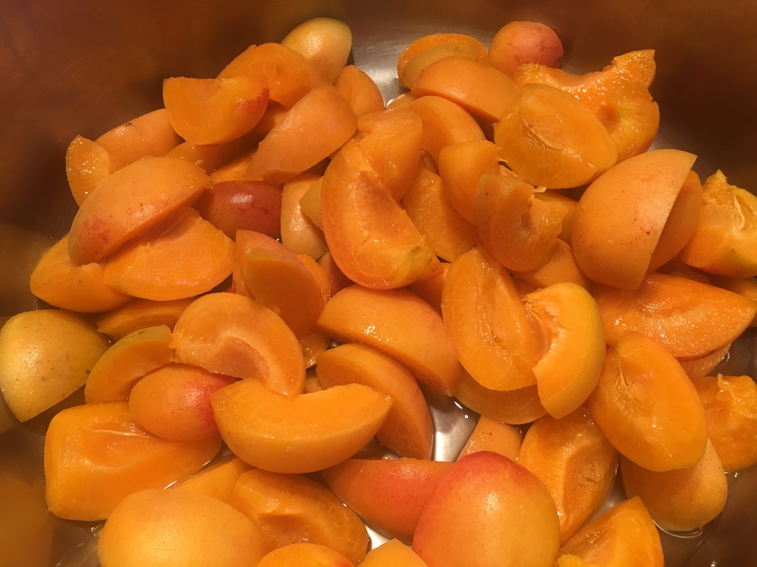 Organic apricots from our tree soon to become pureed apricots for Shiloh.