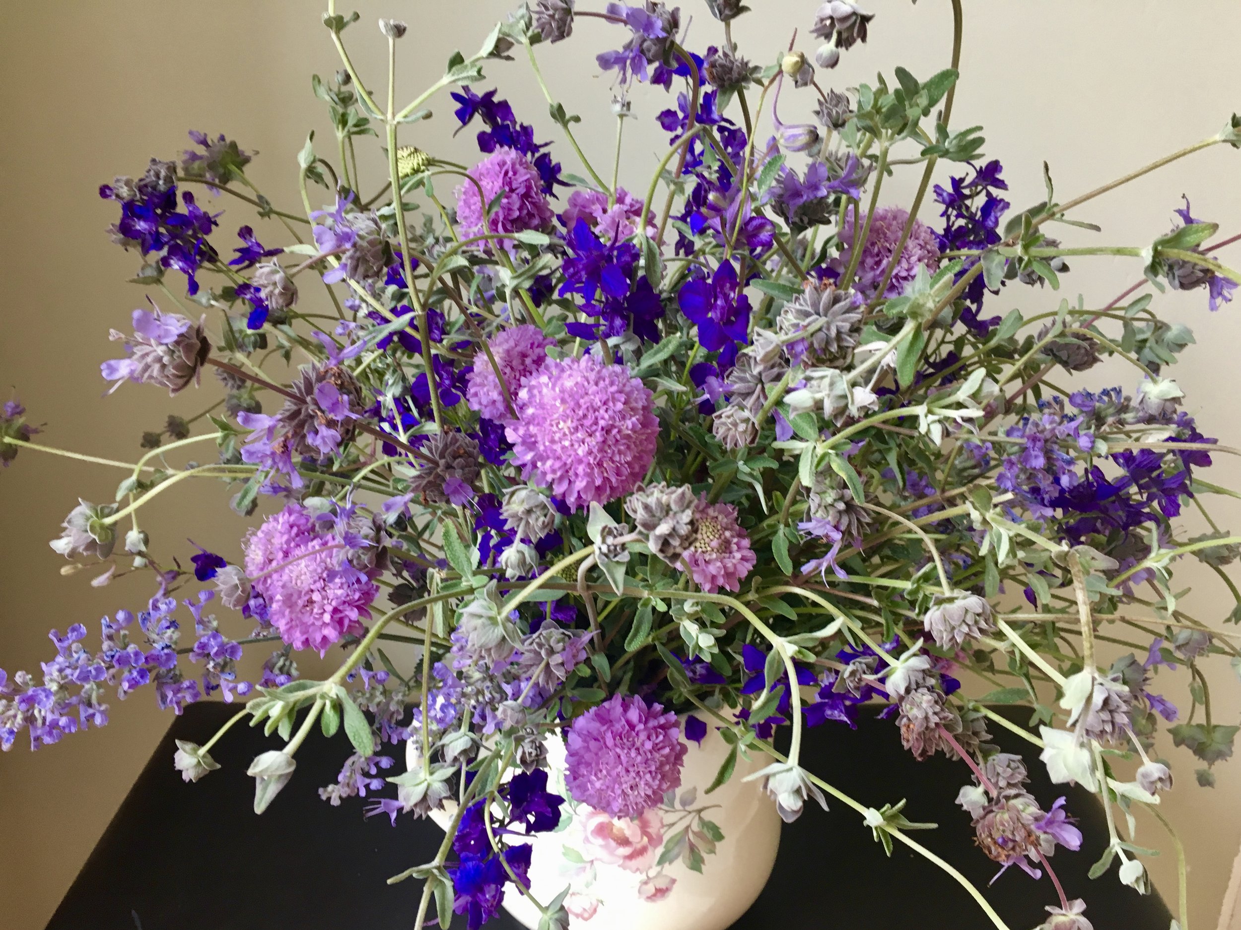 Native sage, larkspur, scabiosa, nepeta.