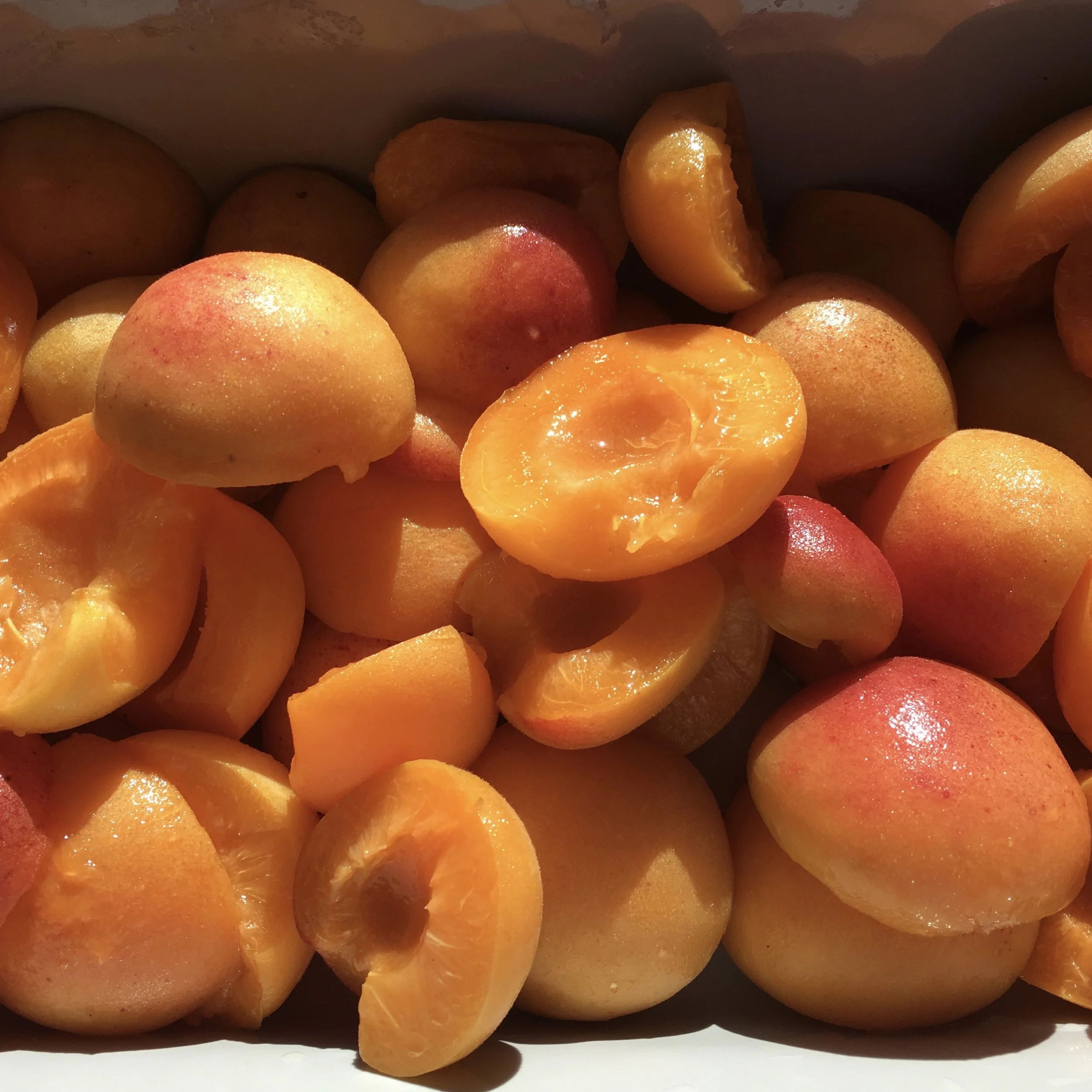 In My San Diego Garden and Kitchen