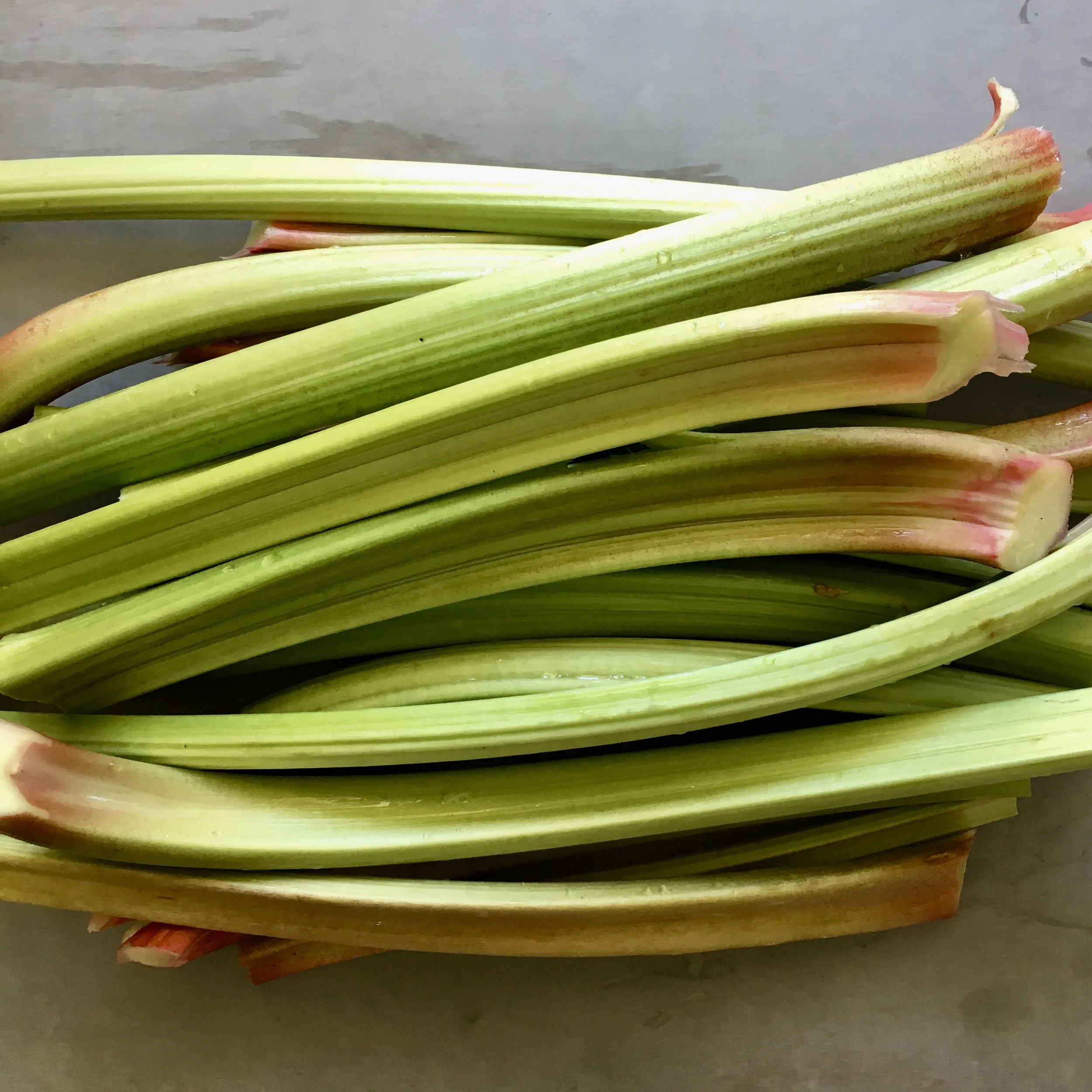 In My San Diego Garden and Kitchen