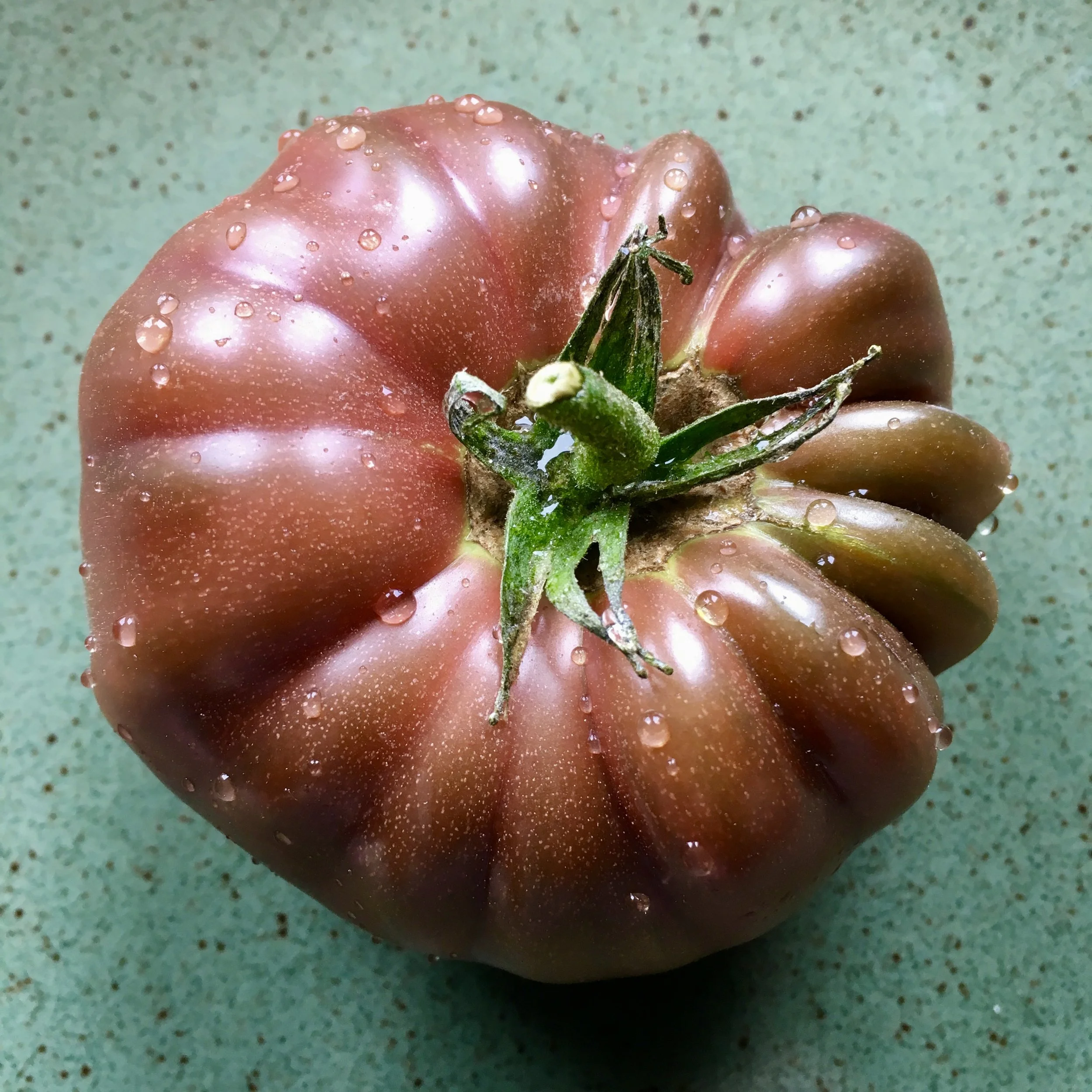 In My San Diego Garden and Kitchen