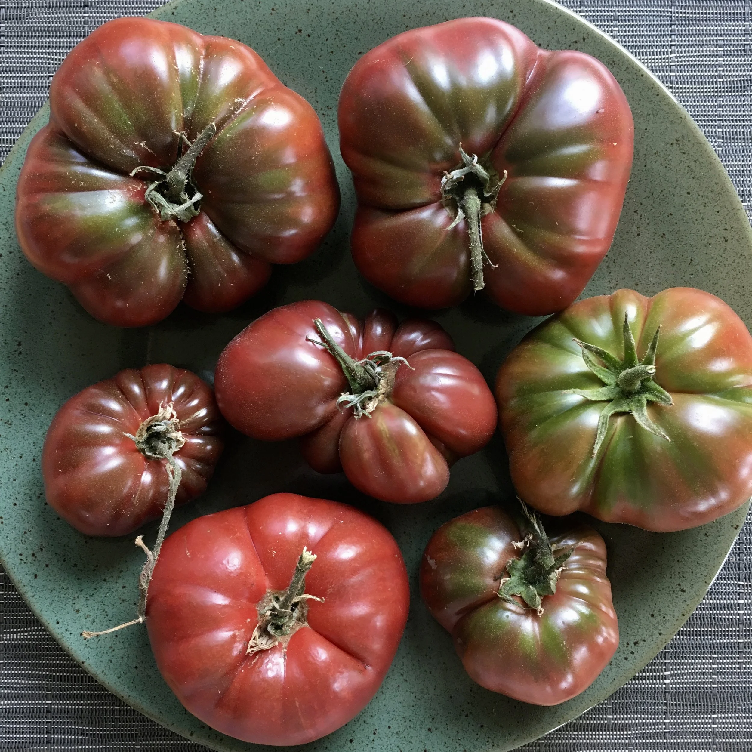 In My San Diego Garden and Kitchen