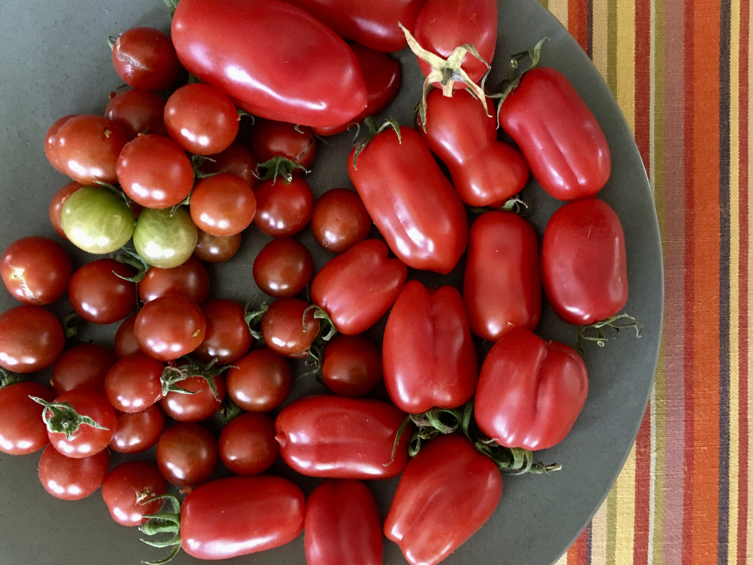 ‘Black Cherry’ and ‘San Marzano’ tomatoes