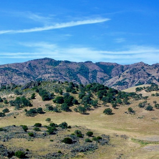 California Hills in August