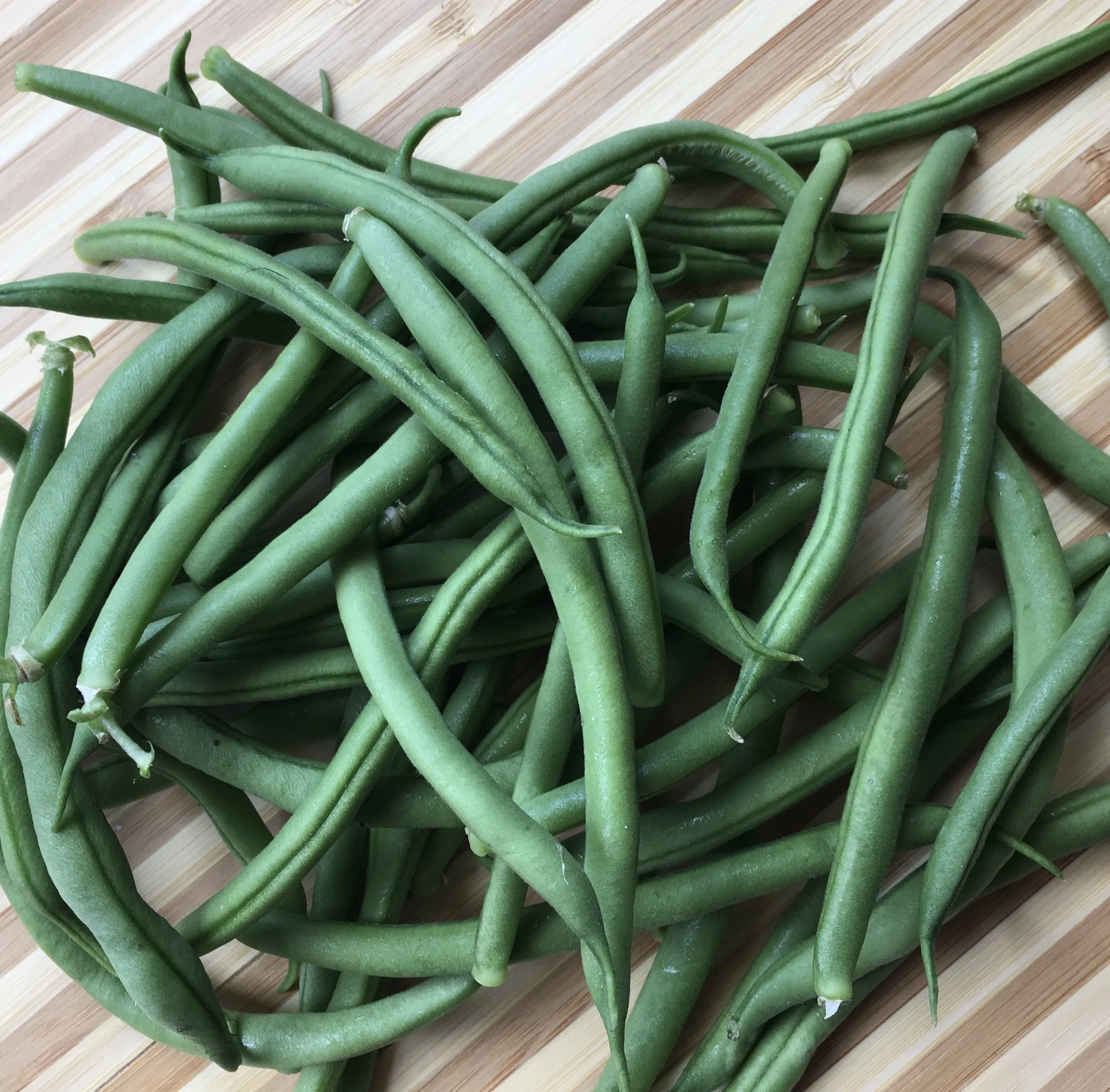 In My San Diego Garden and Kitchen