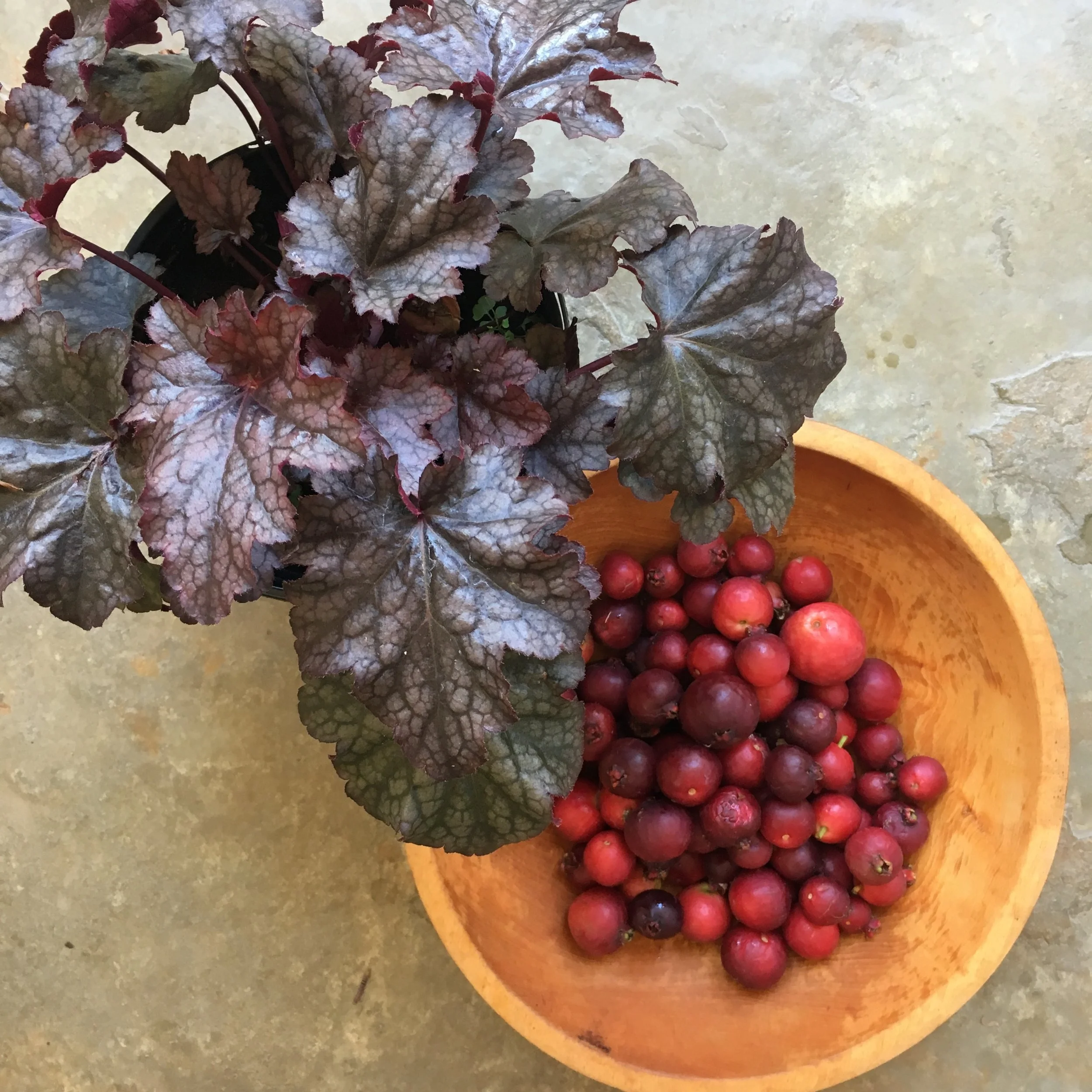 Some Things Just Go Together--2