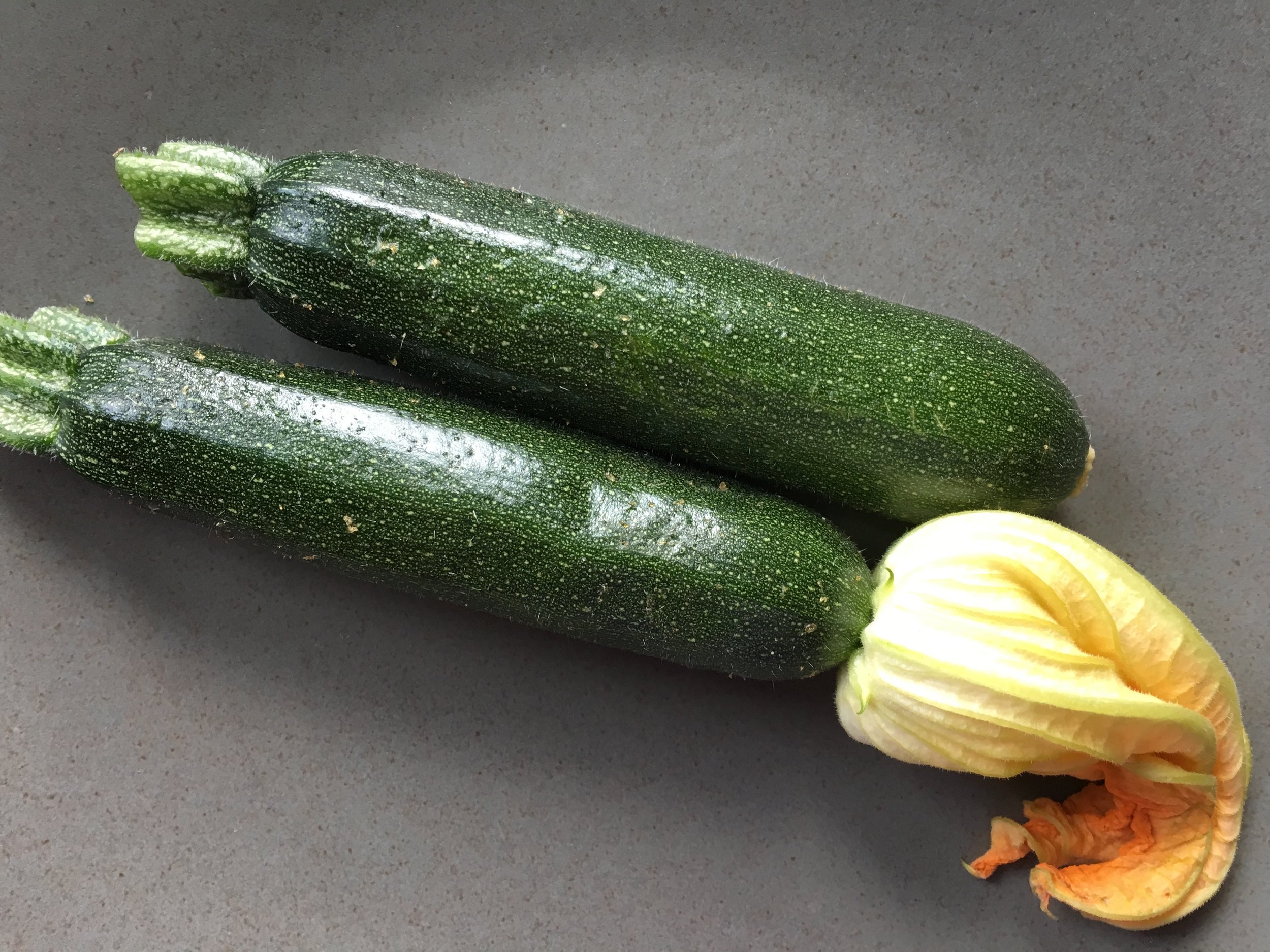 Zucchini 95% water