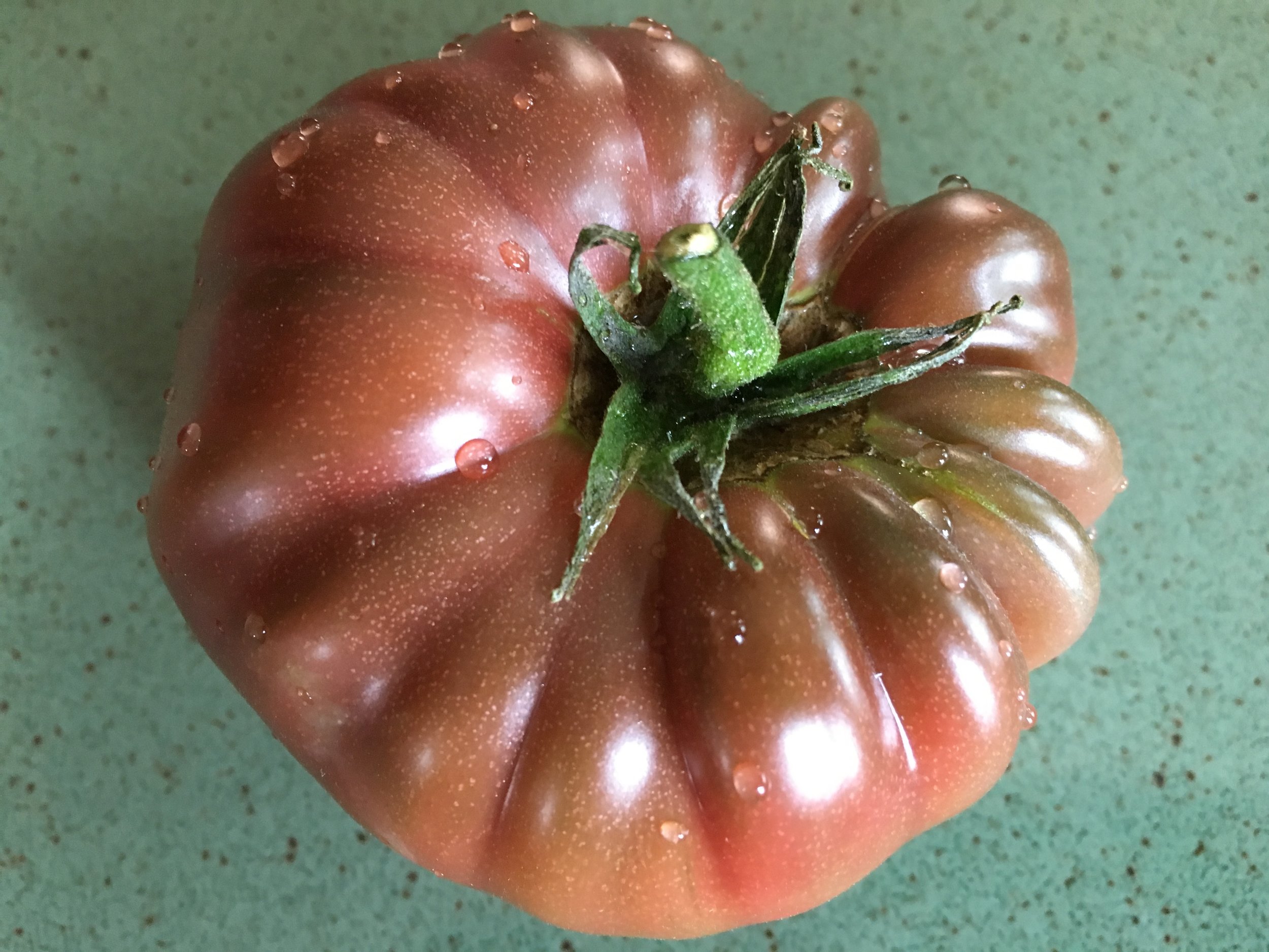 Tomatoes 94% water
