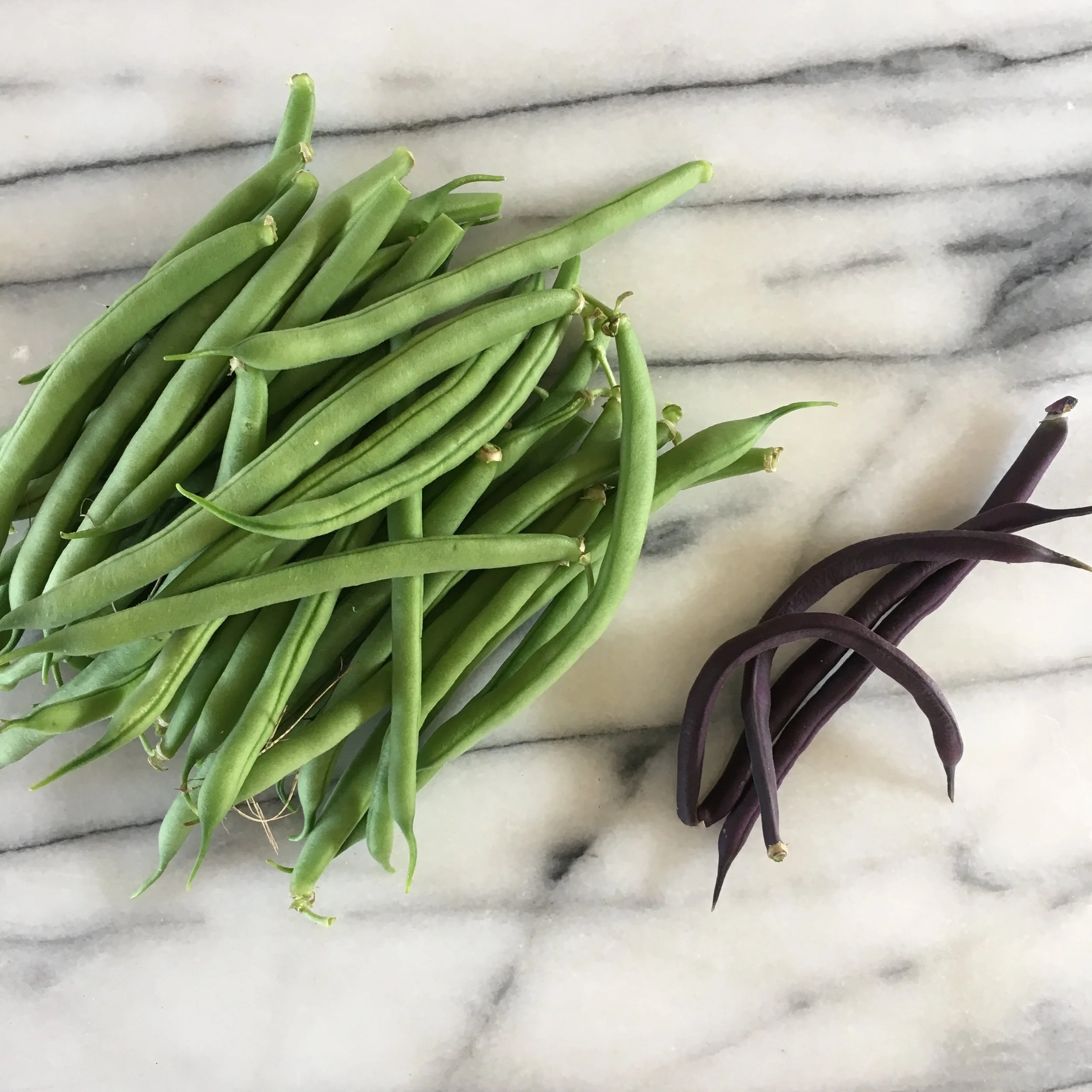 In My San Diego Garden and Kitchen