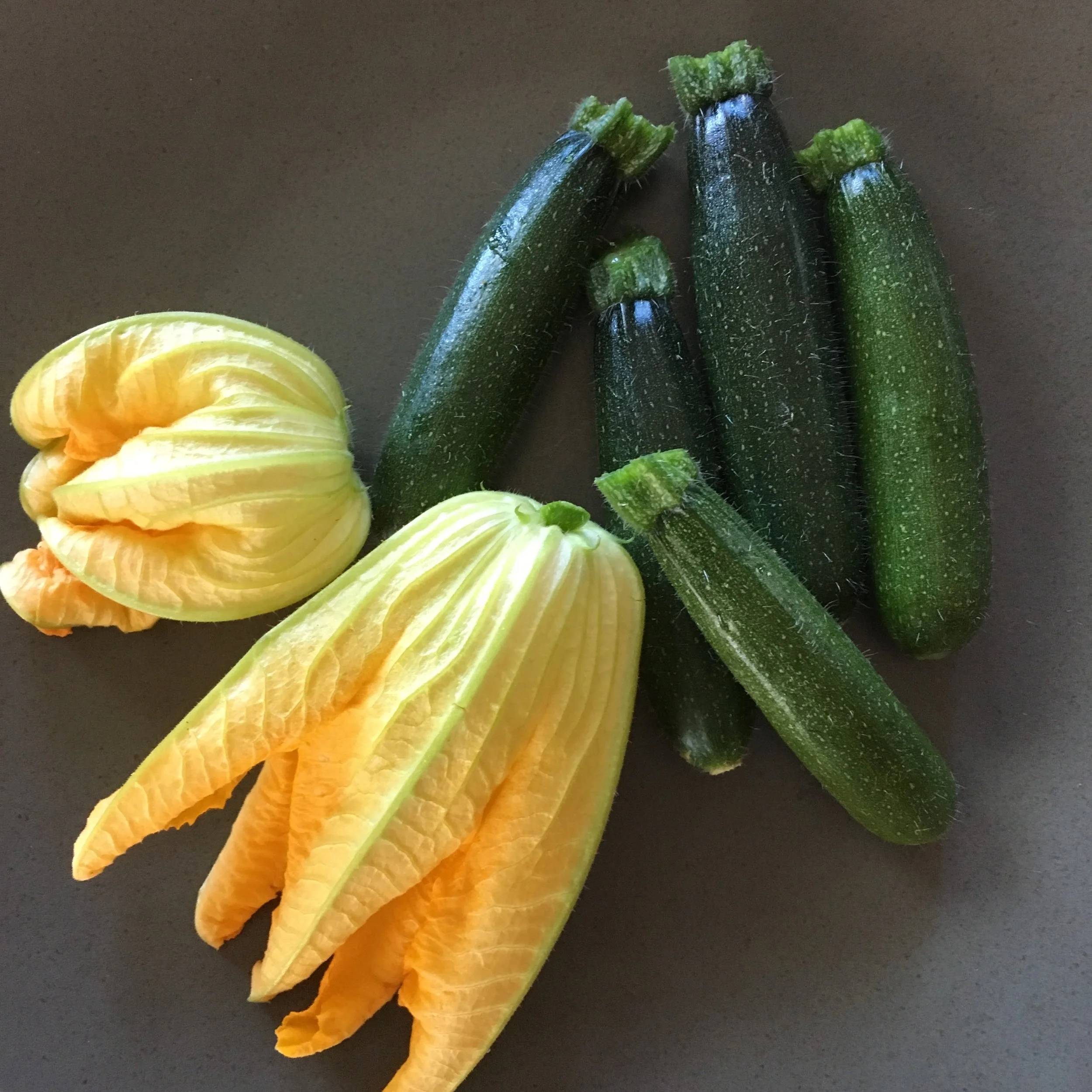 Baby Zucchini
