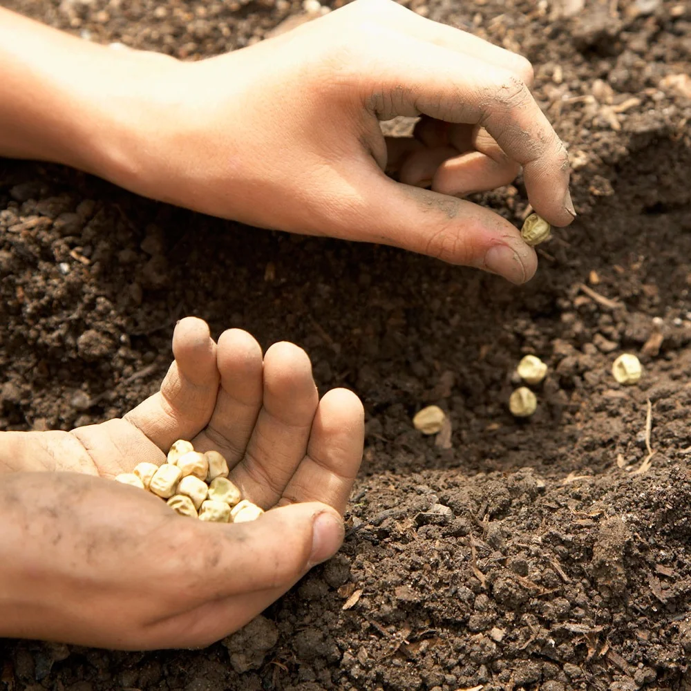Every time you plant a seed...