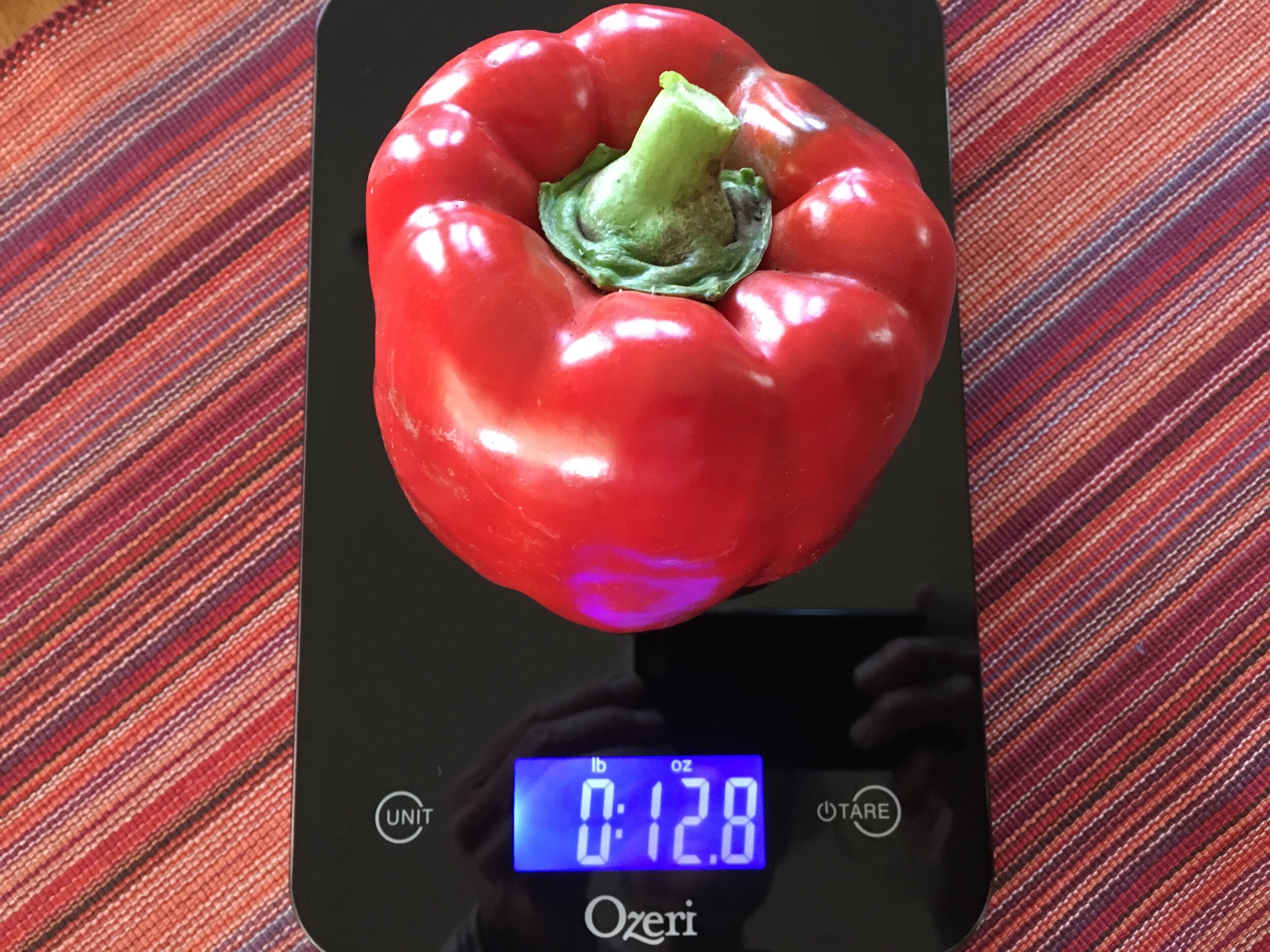 ‘Red Beauty’ bell pepper