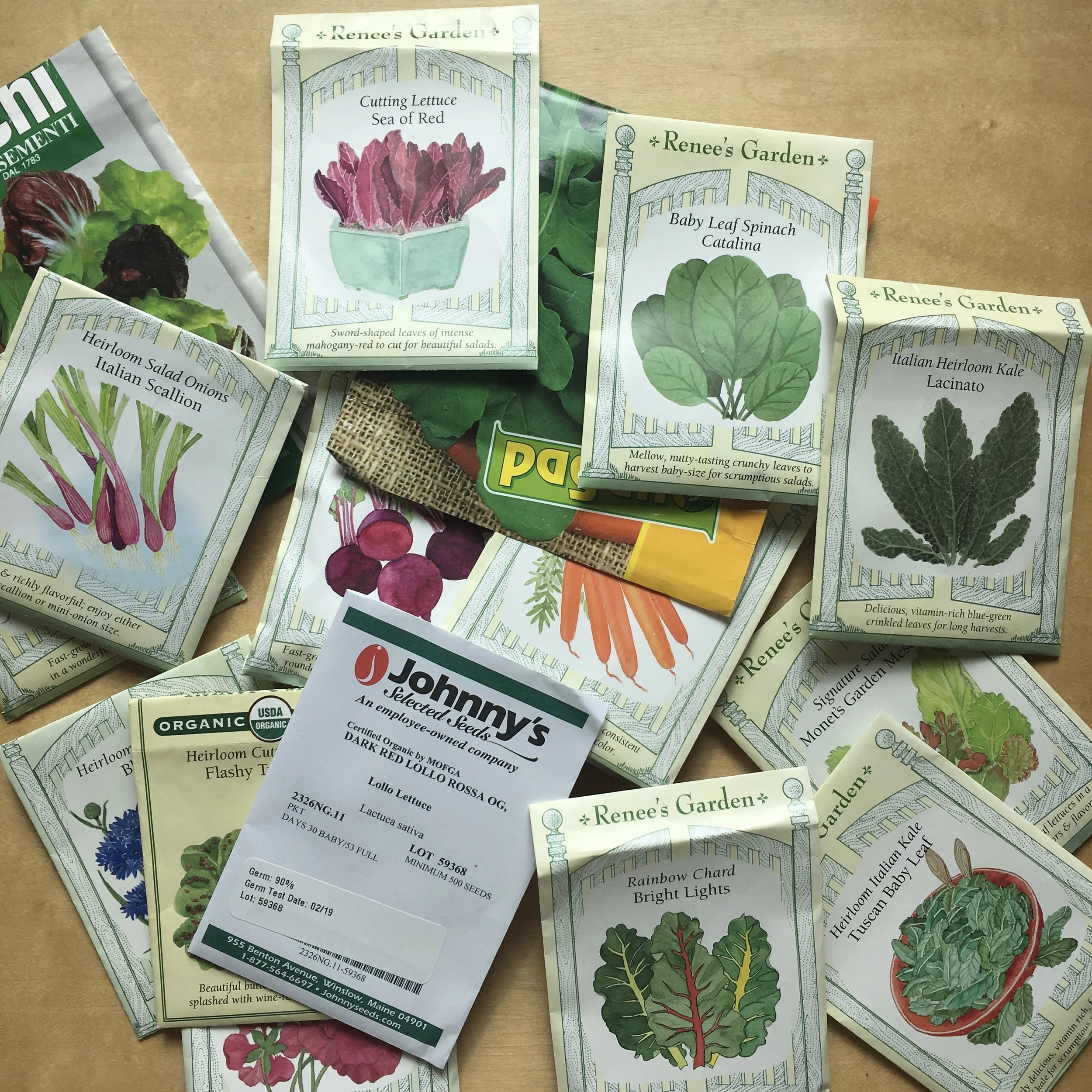 Gardening for a Second Season