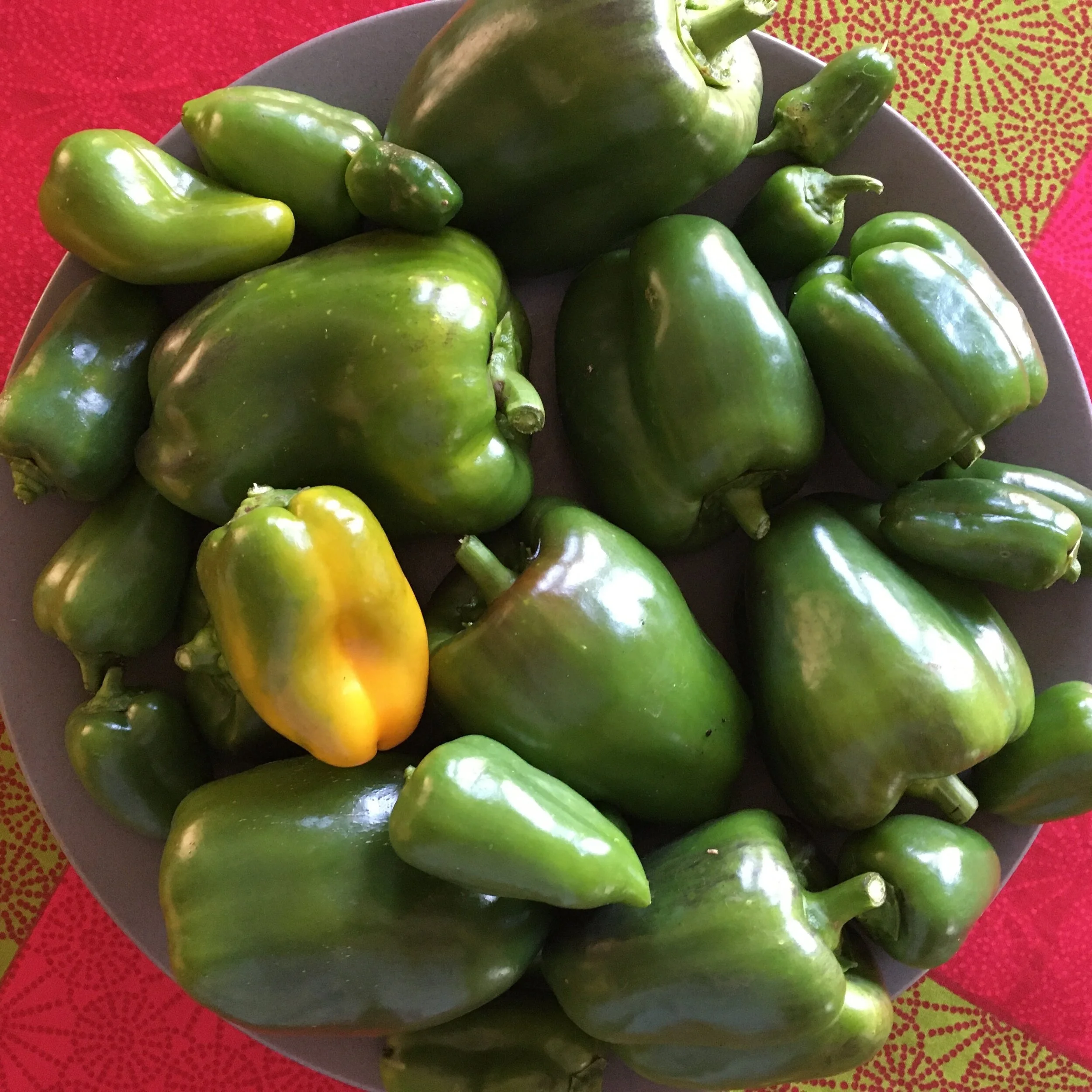 Seasonal Red and Green from the Garden