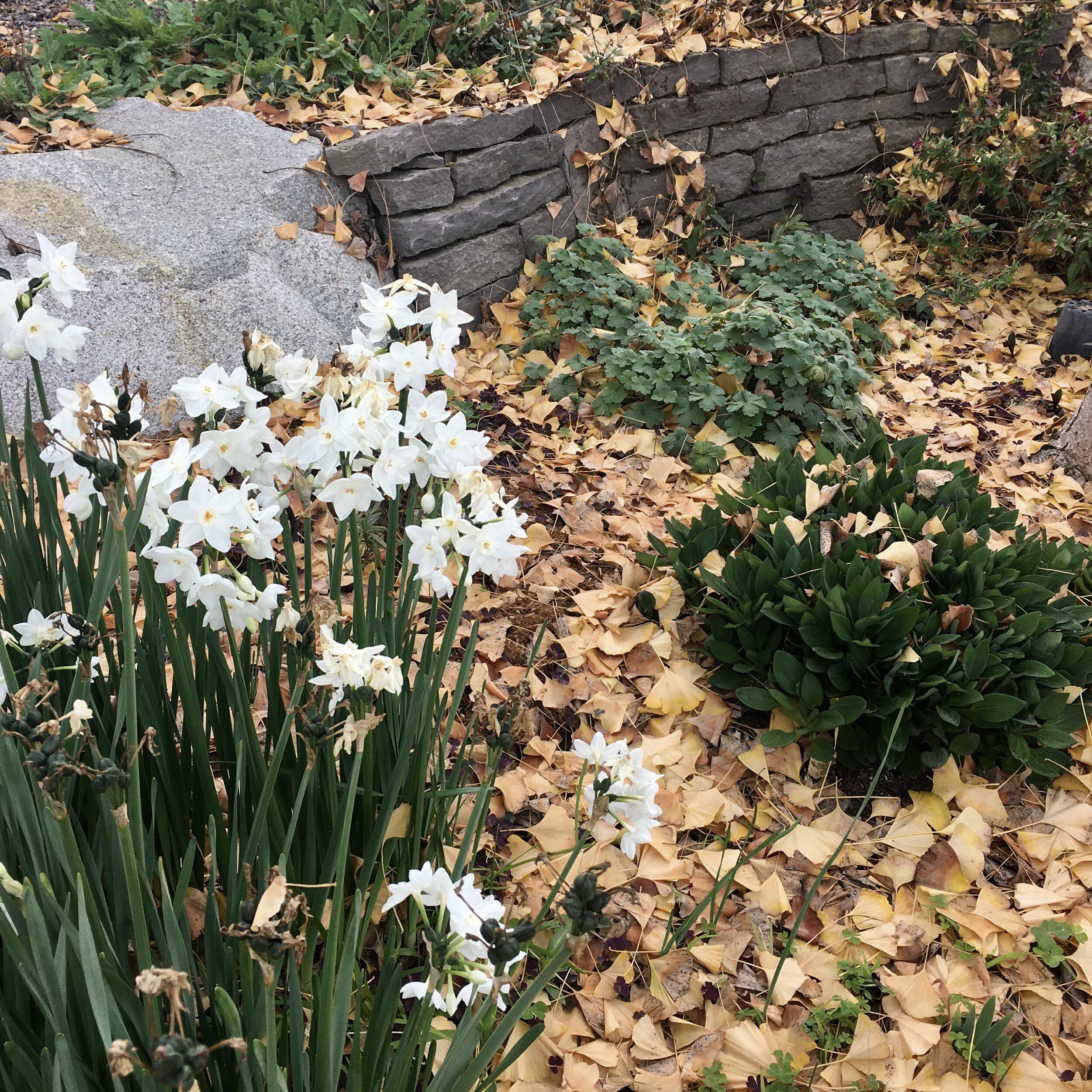 A Poem for the Winter Solstice