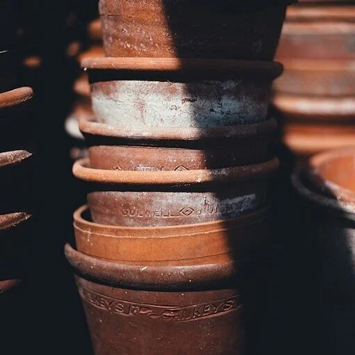 What are you dreaming of?