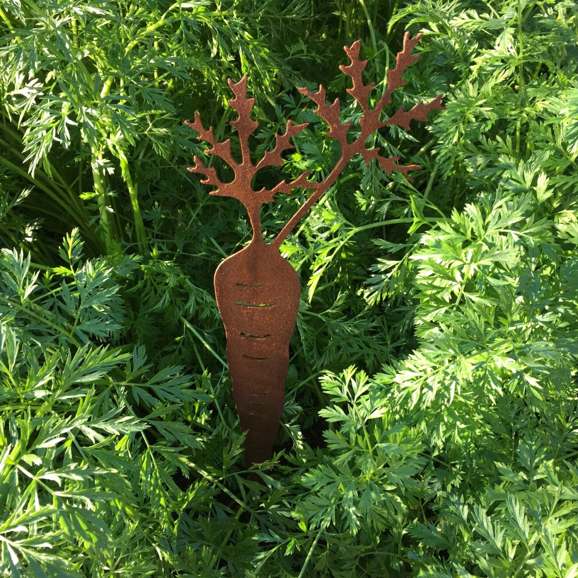 Things to Come in My Garden