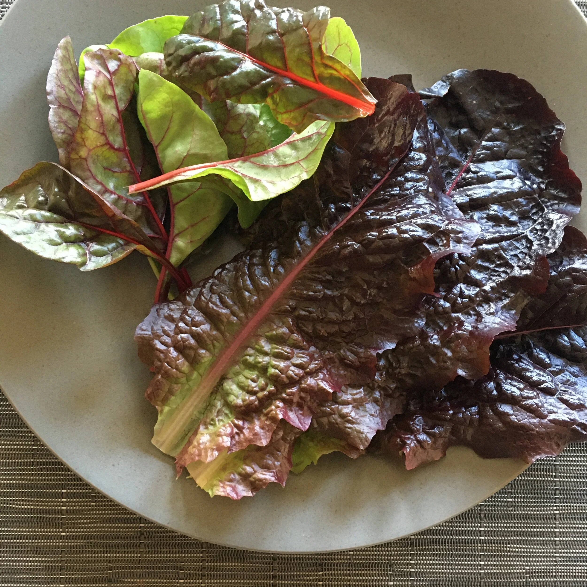 In My San Diego Garden and Kitchen