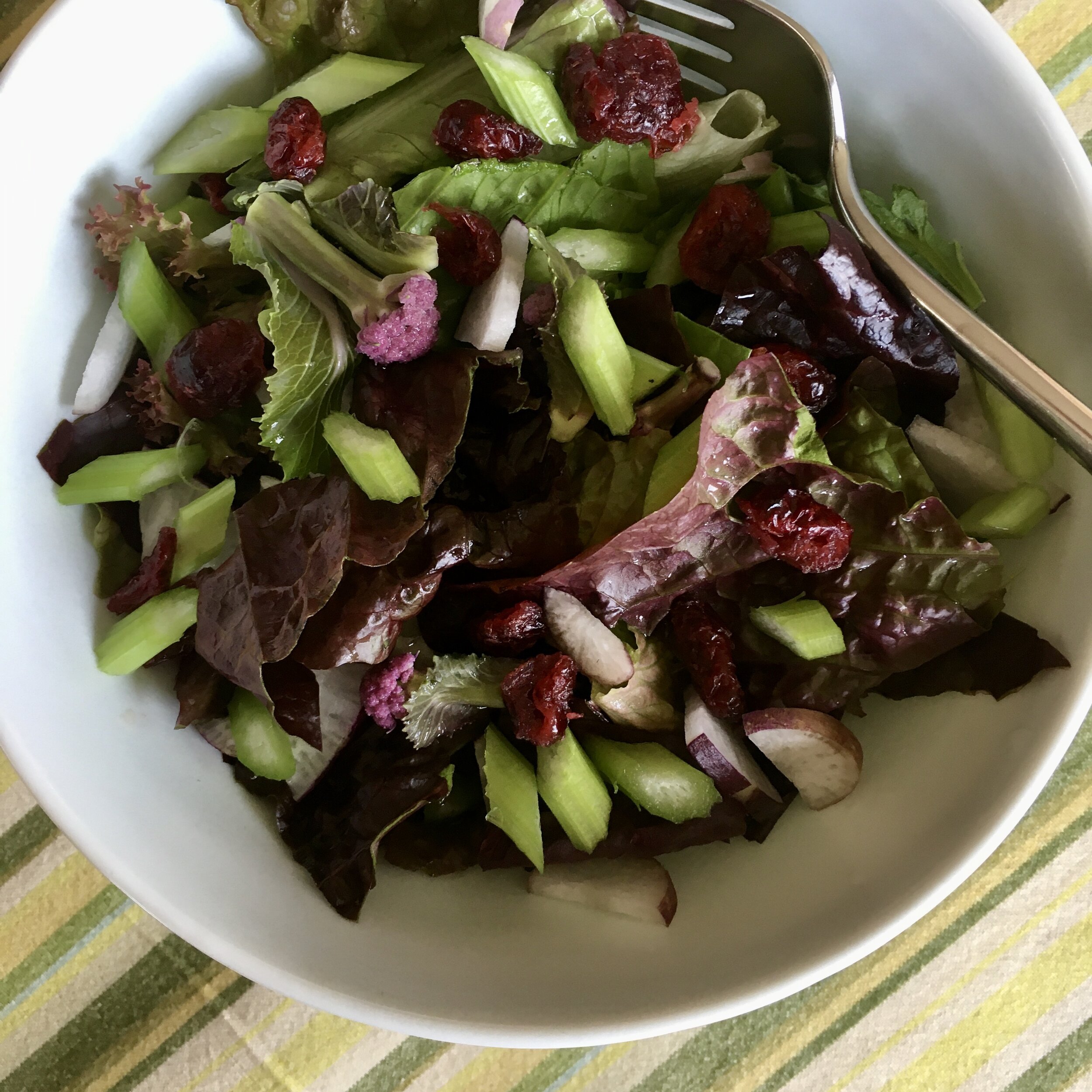 In My San Diego Garden and Kitchen