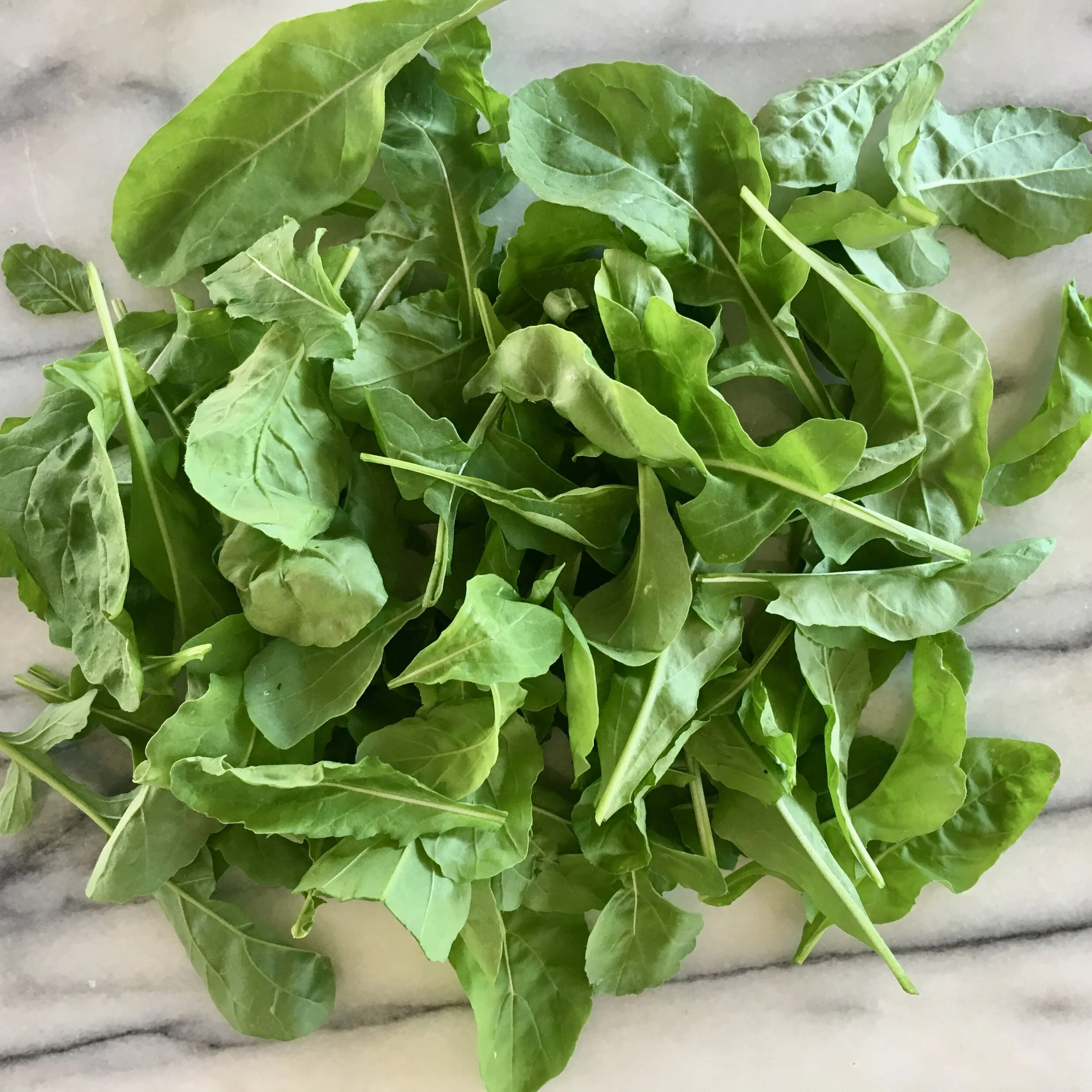 What I'm Doing in My Garden This Week