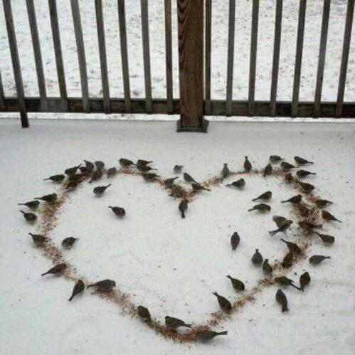 Valentine's Day