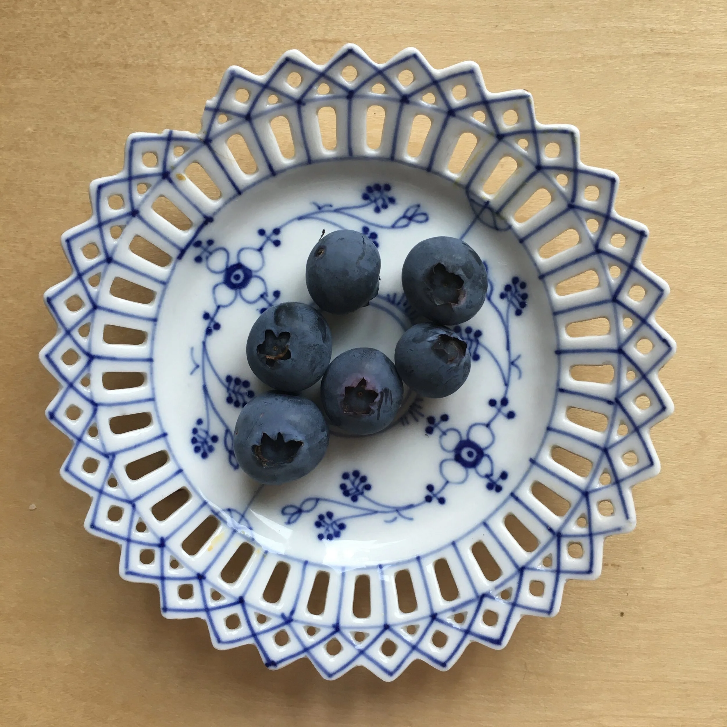 In My San Diego Garden and Kitchen