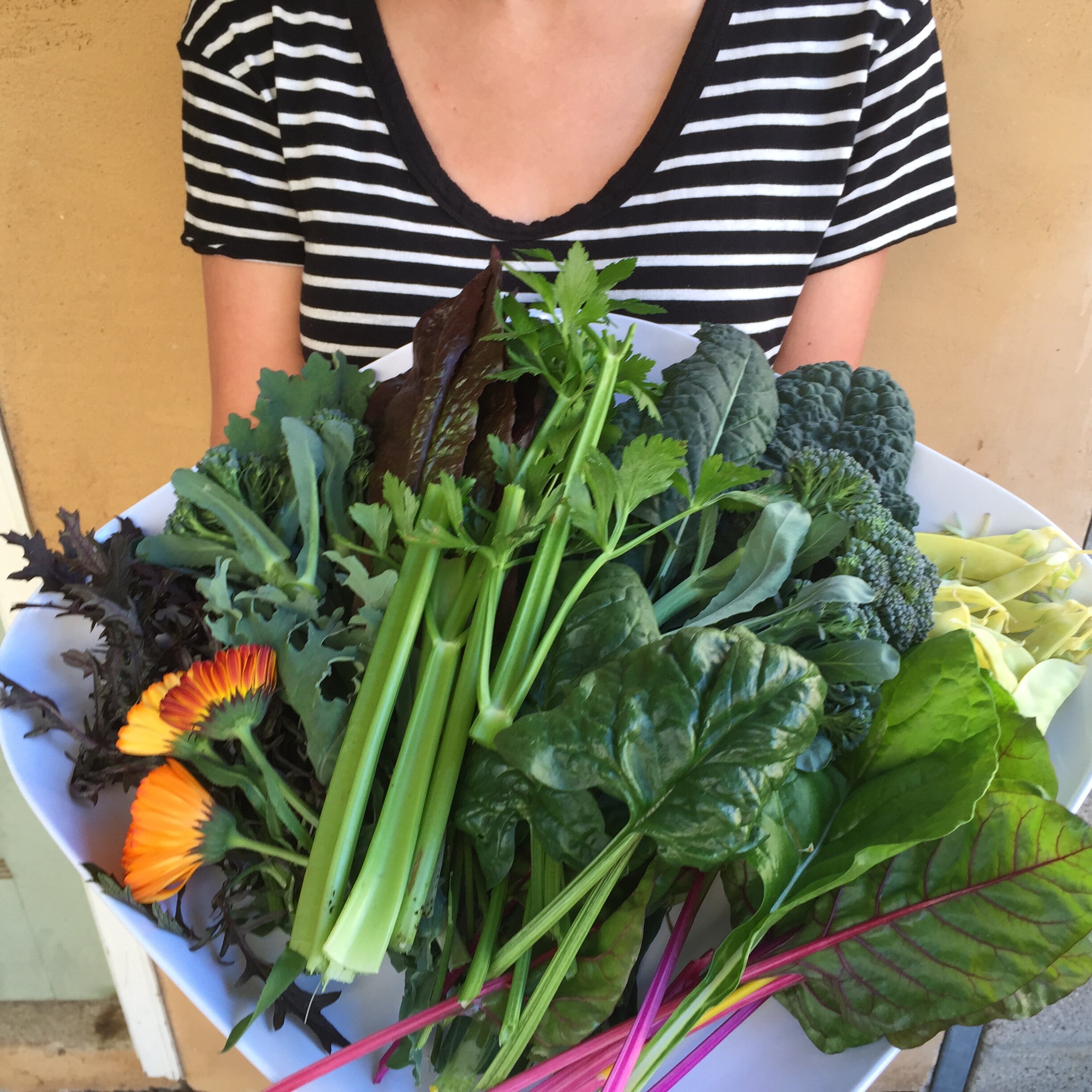 Sourcing Food in These Times