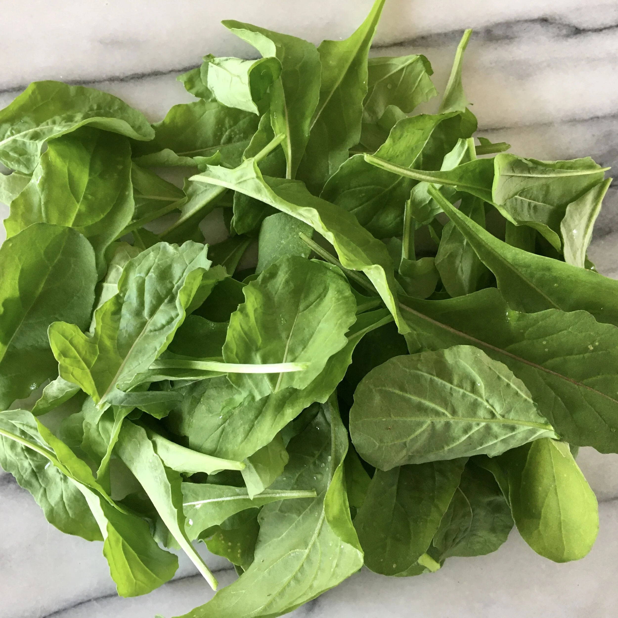 In My San Diego Garden and Kitchen