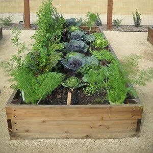 Turn Off the News (Build A Garden)